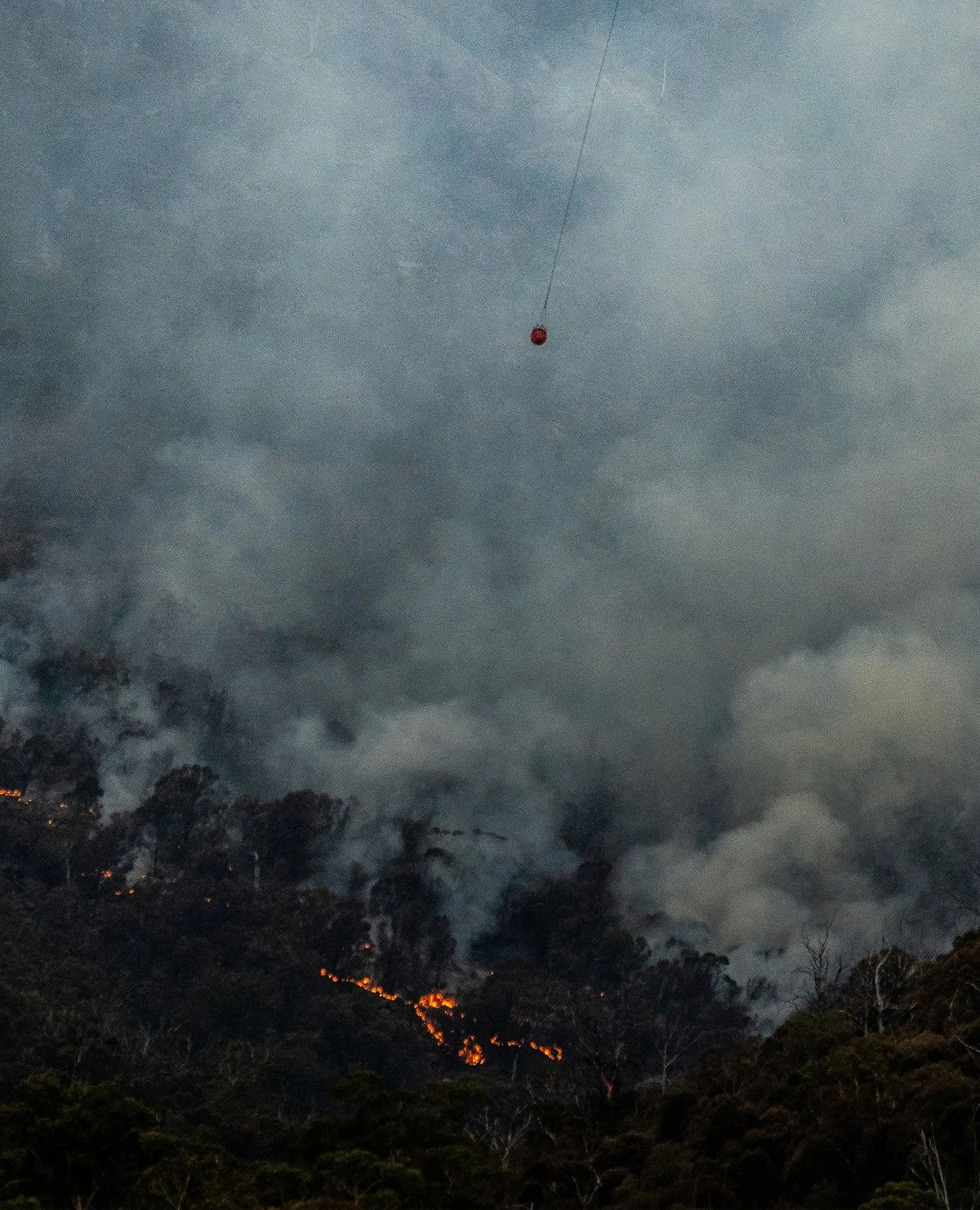 Health strategies during the Hastings bushfires of 2019
