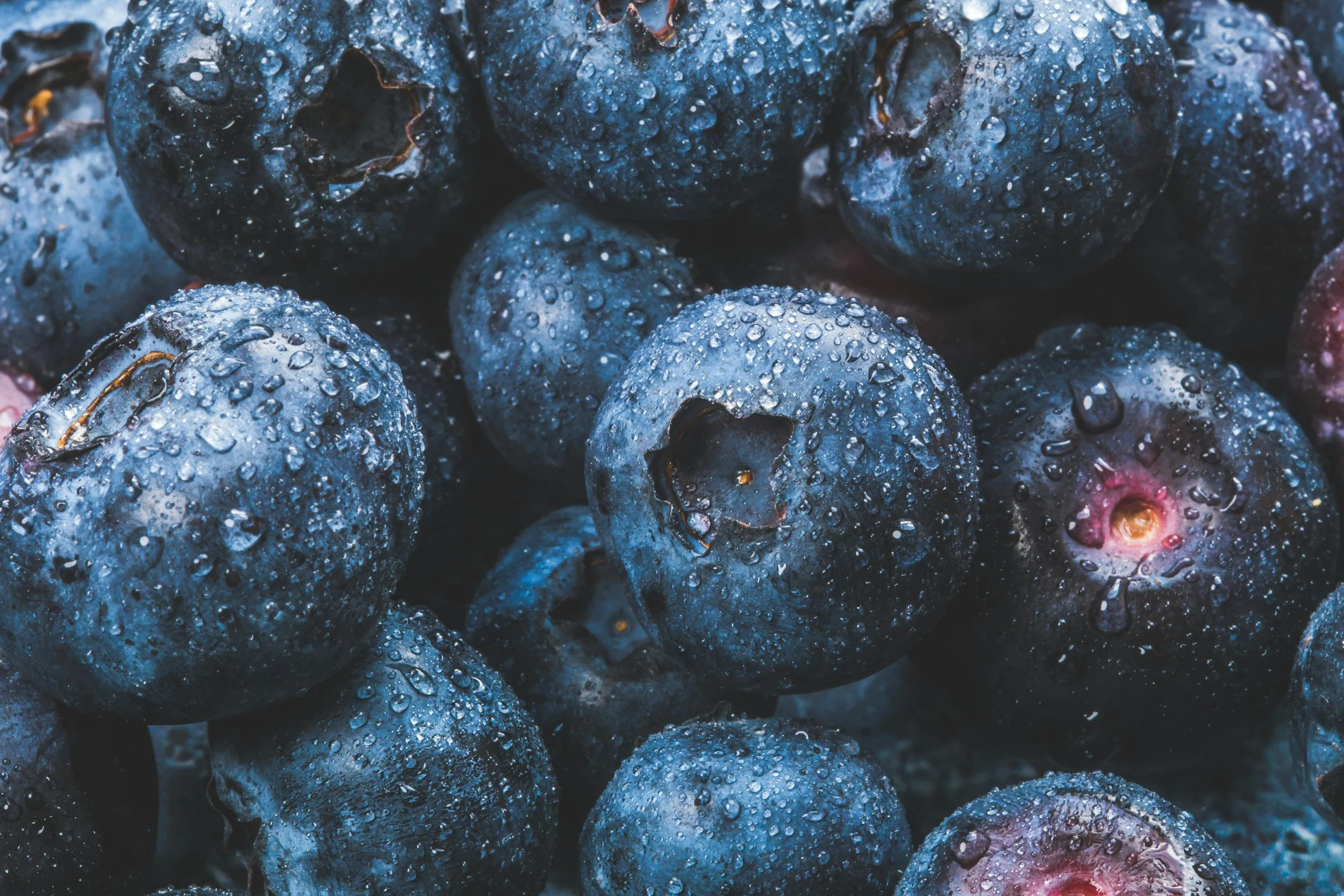 Close-up of fresh blueberries covered with water droplets.