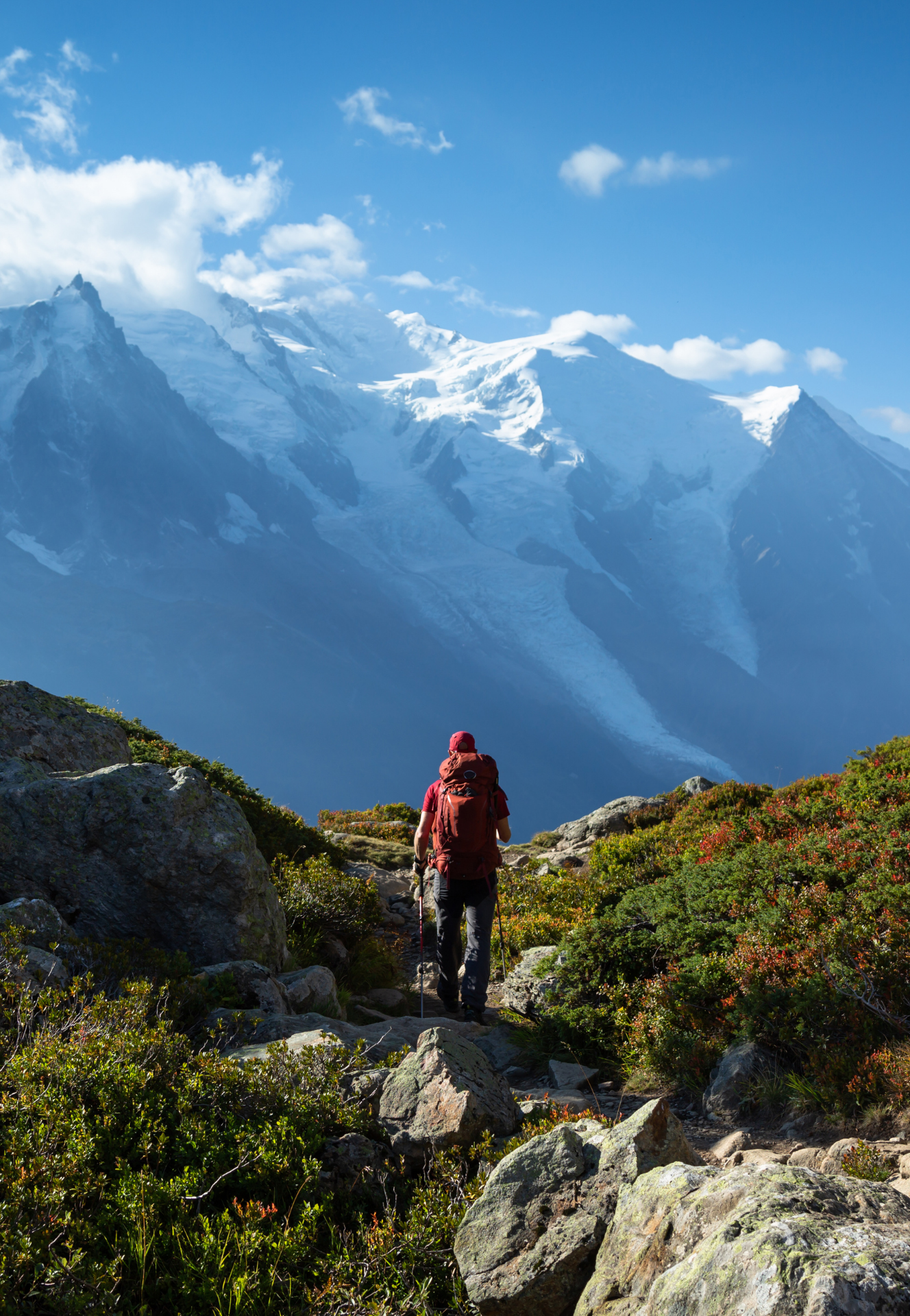 Orientación vocacional con certeza, metas, propósito y personalizado. Proceso completo.