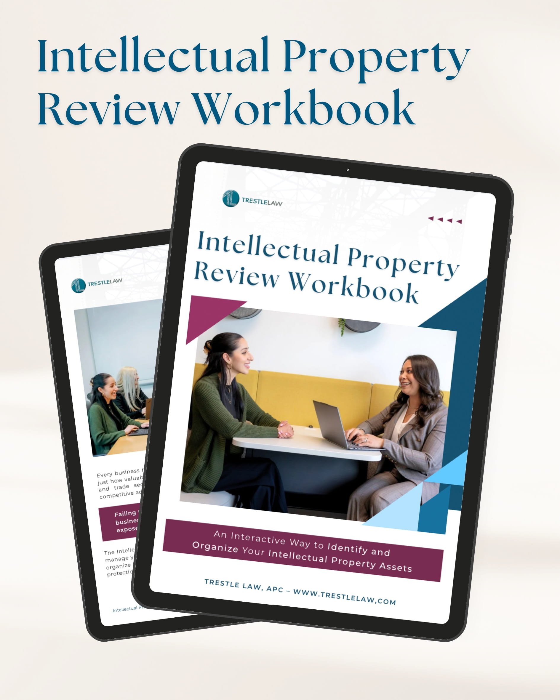 Intellectual Property Review Workbook