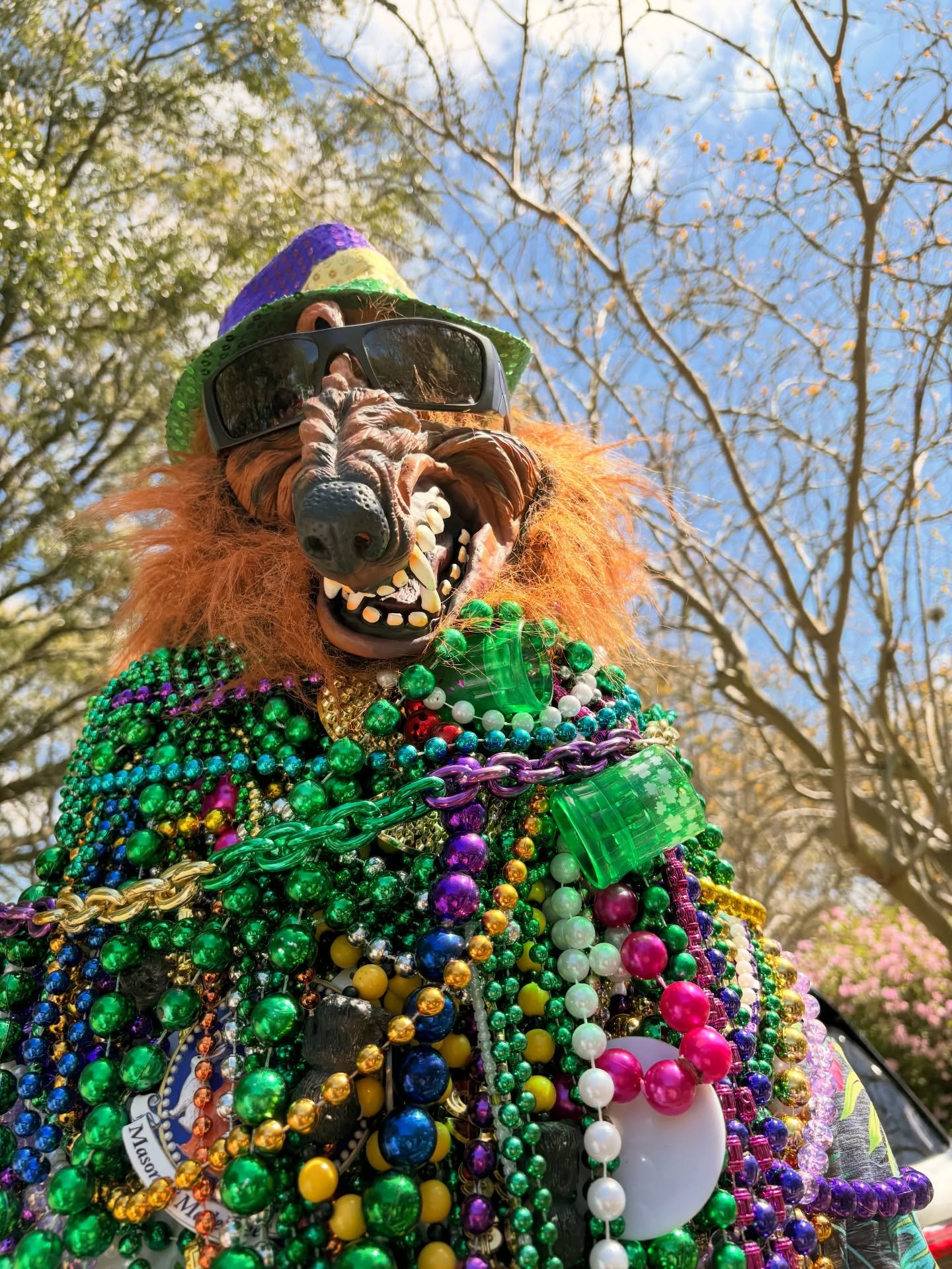 🍀 ROUGAROU SPOTTED 🍀
Caught roaming the Baton Rouge St. Patrick&rsquo;s Day Parade this weekend 👀⚜️

He may love a good parade&hellip; but he&rsquo;s always on the lookout for roof trouble too.

Storm season is around the corner, South Louisiana.
