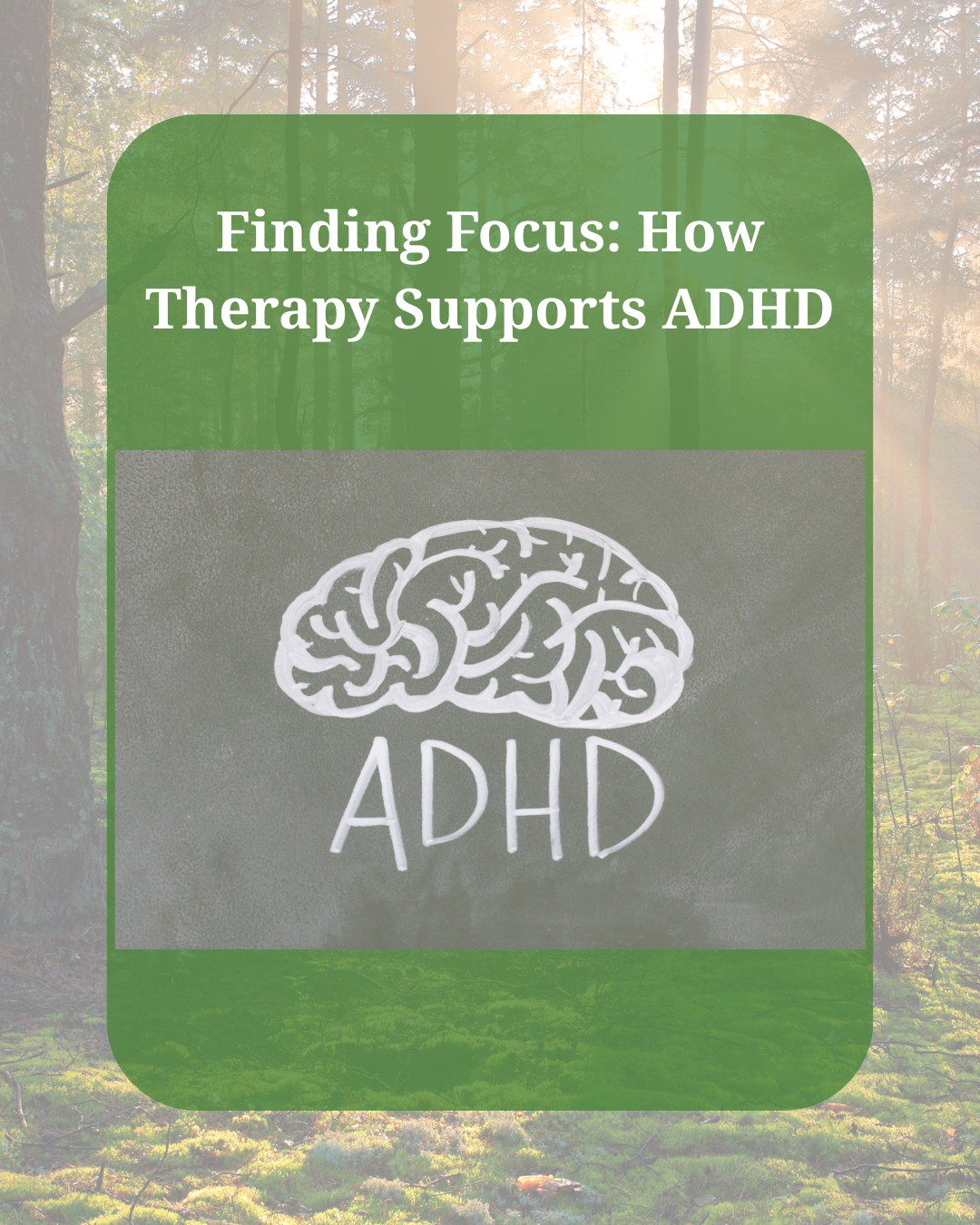 Finding Focus: How Therapy Supports ADHD 