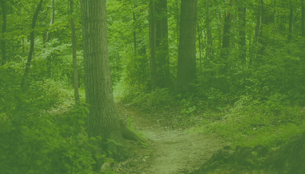 Copy of New Greenwood cards (4).png