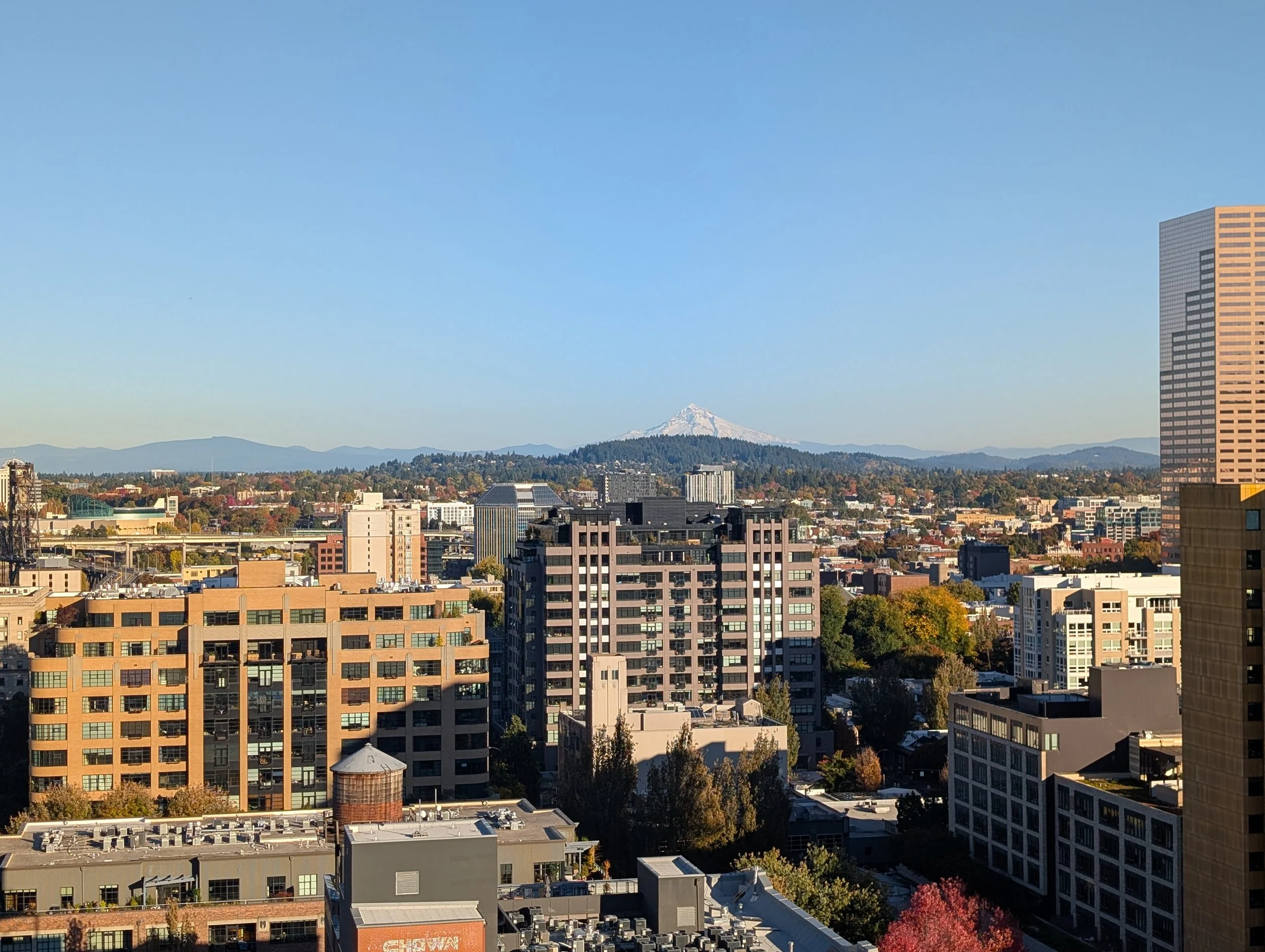 Packing Boxes, Building Bridges: What a Year in Portland Taught Us