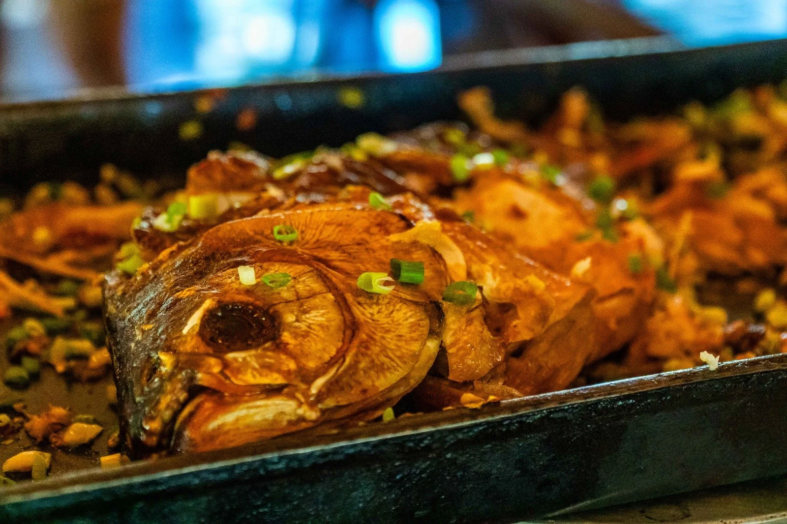 WhatsApp Image 2025-10-14 at 15.04.21.jpeg