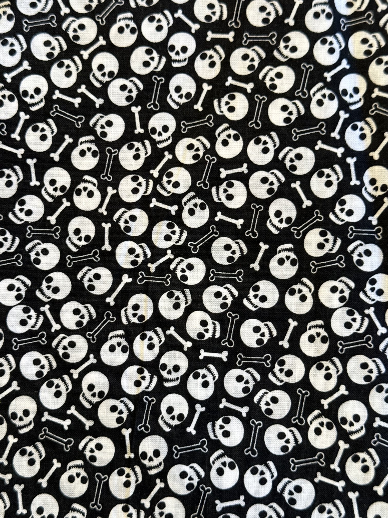 Skulls.JPG