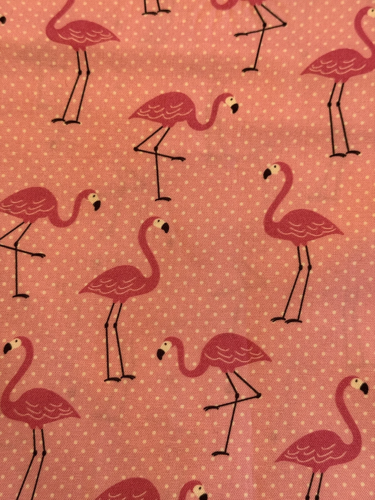 Pink Flamingos.JPG