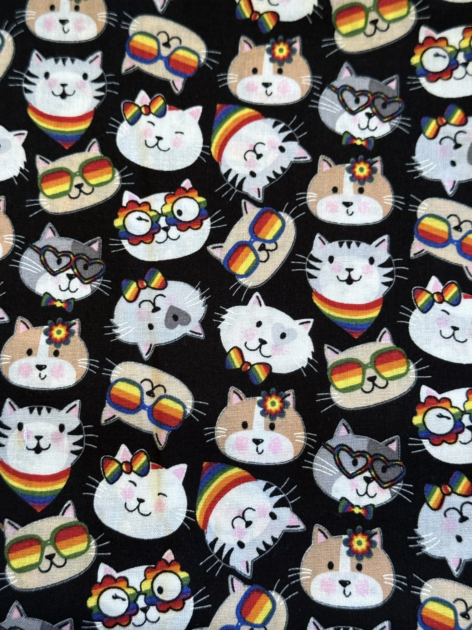 Rainbow Kitty.JPG