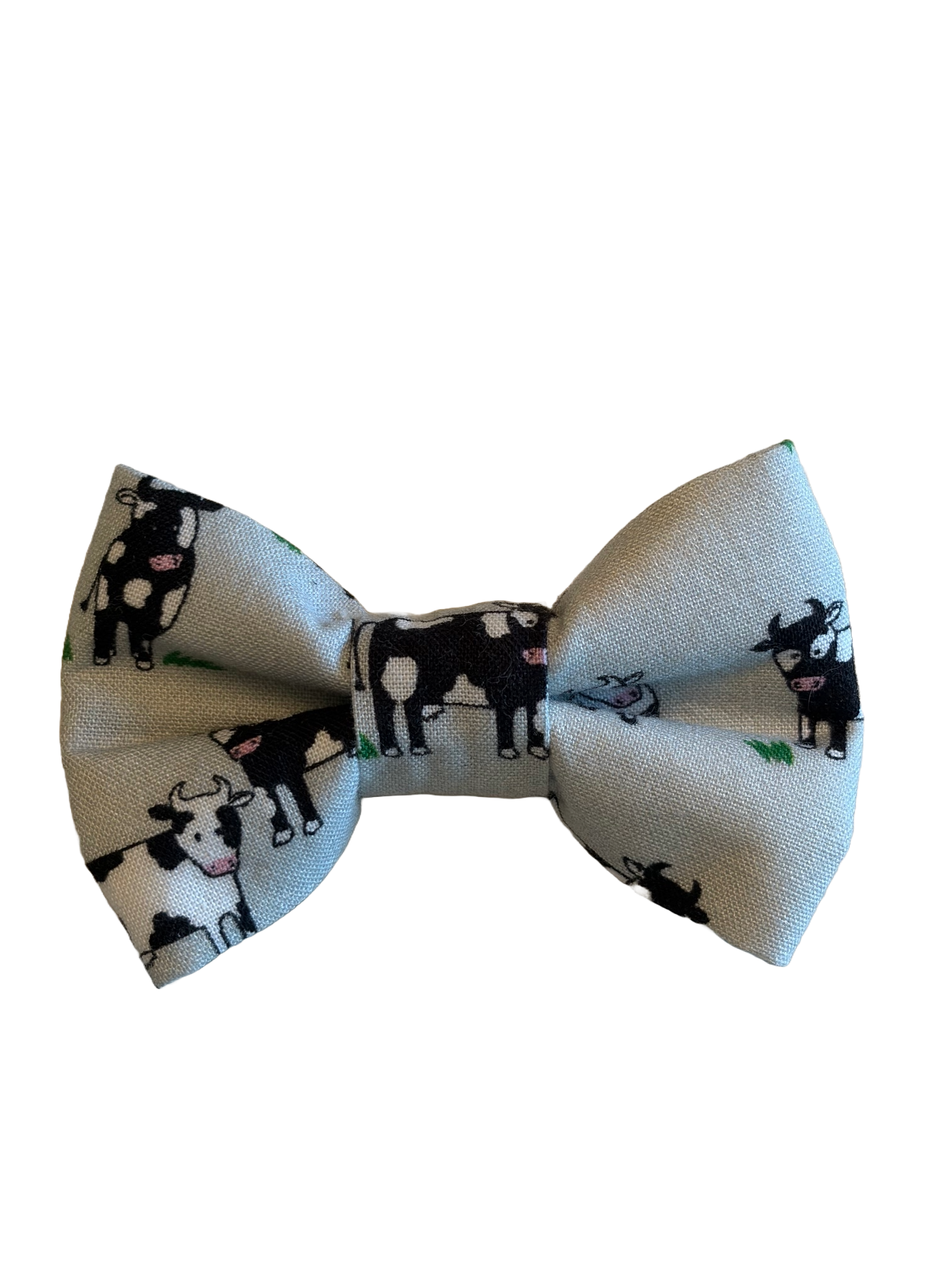 Grazing cows Bowtie BGR.png