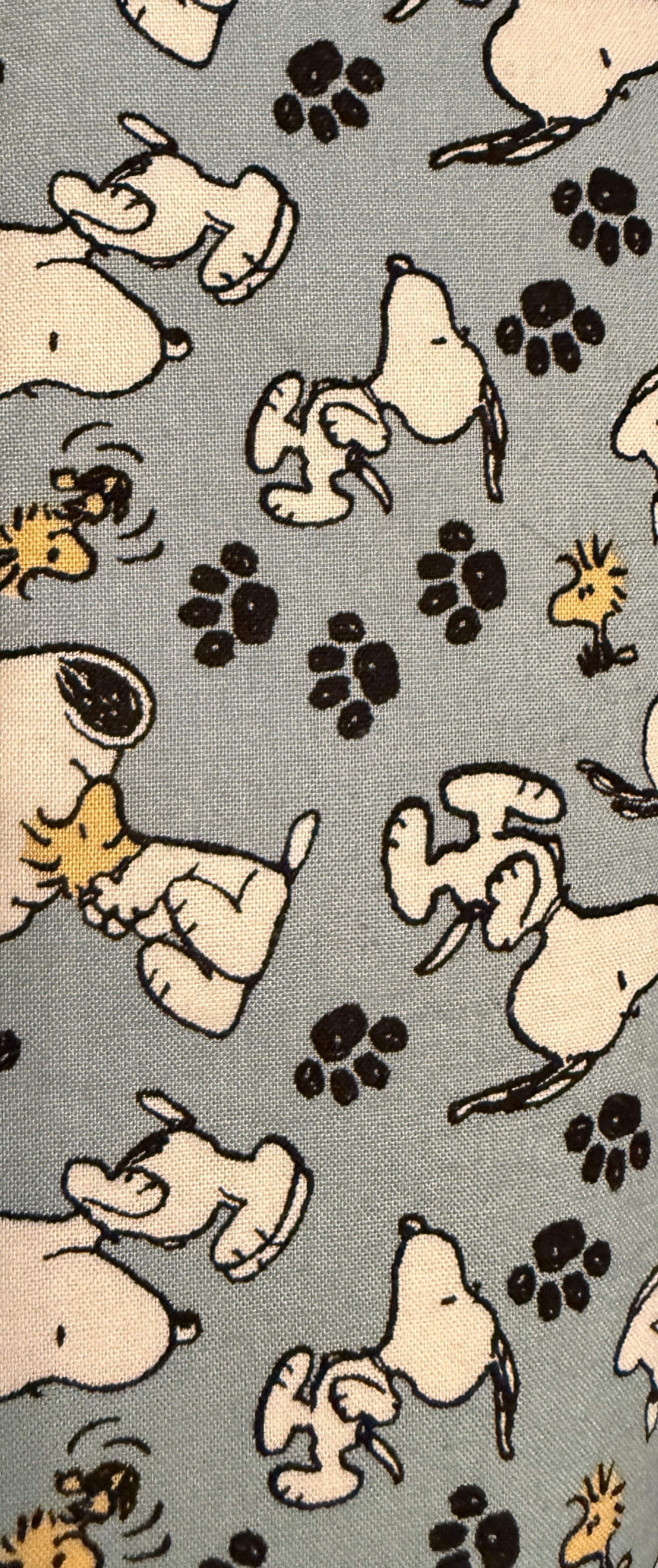 Snoopy Belt Wallet