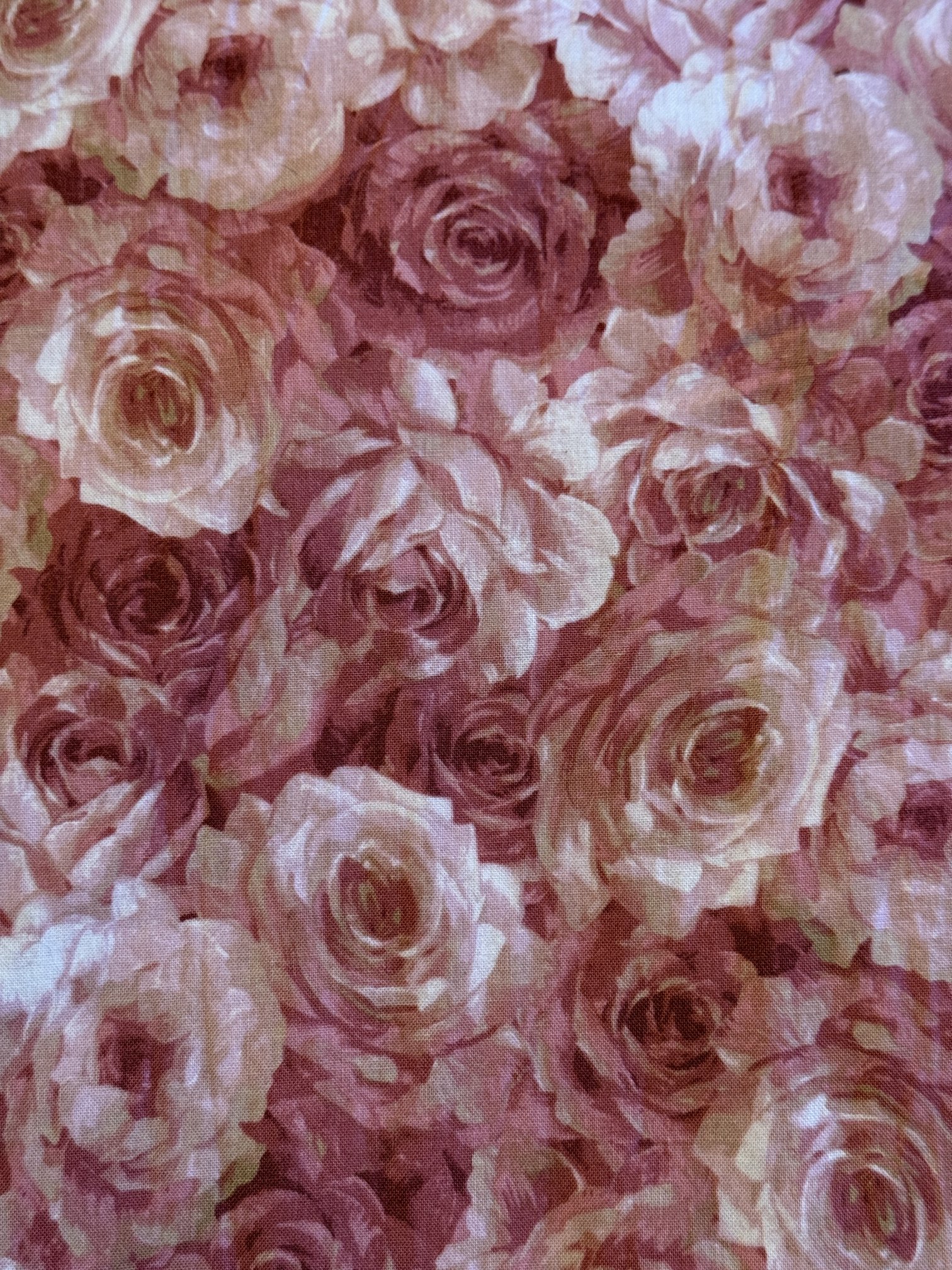 Pink Roses.JPG