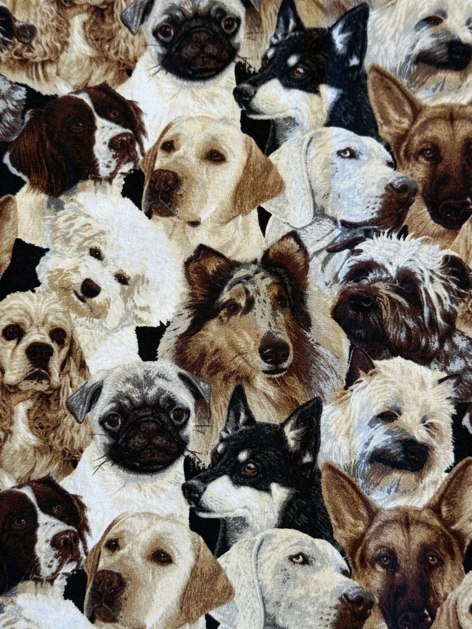 Dog Breeds.JPG