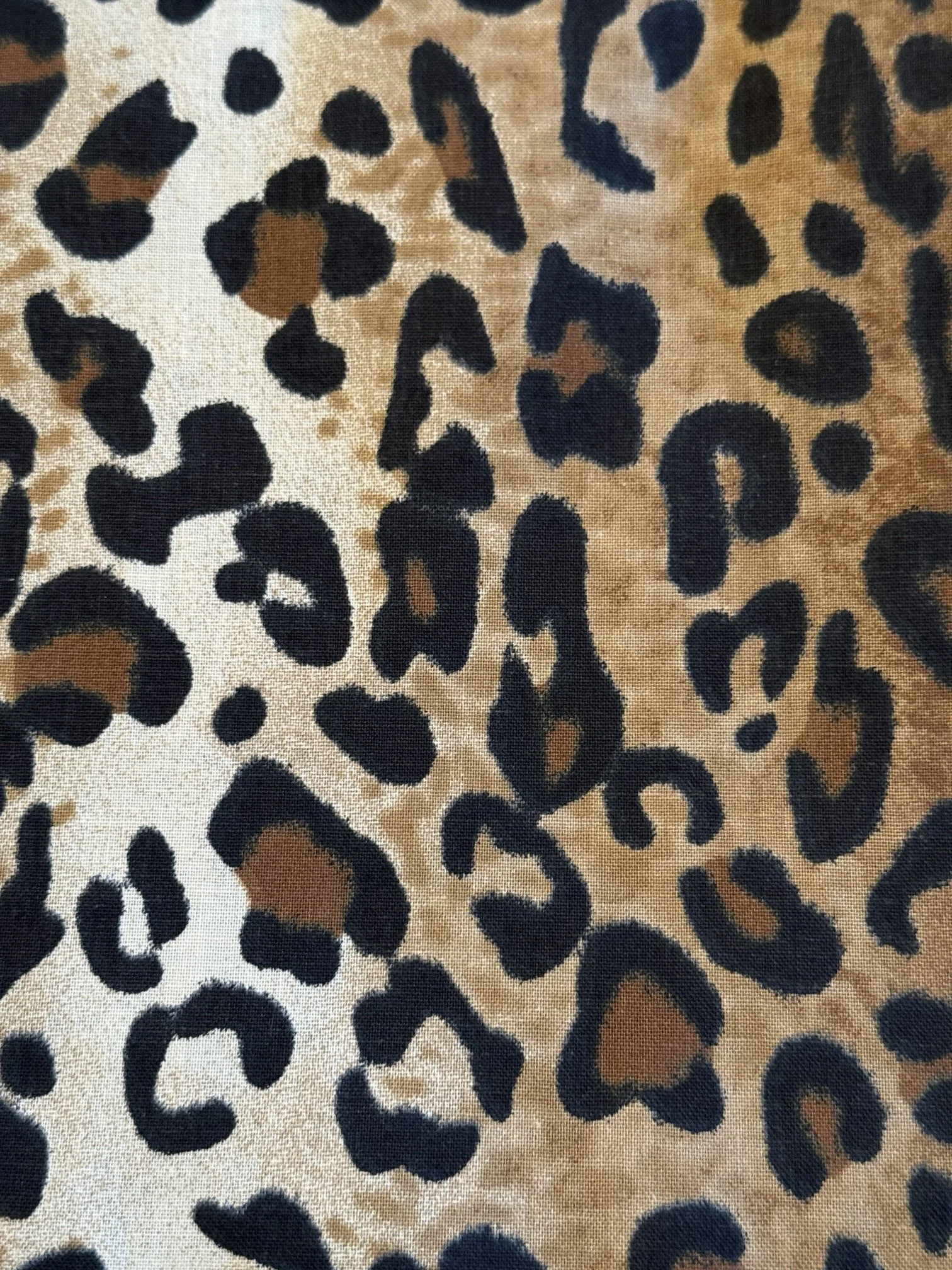 Cheetah Print.JPG