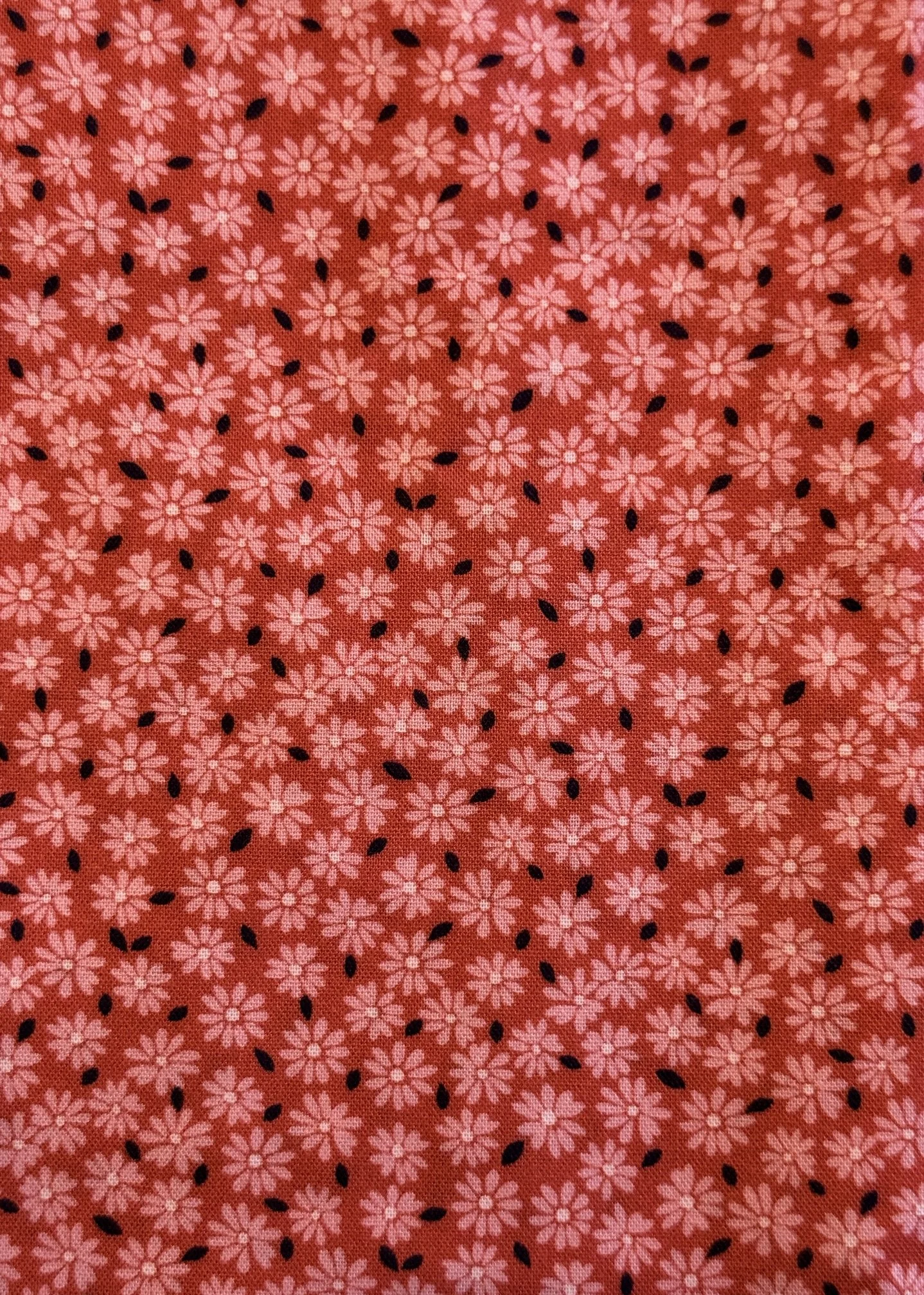 Daisies On Tangerine Fabric