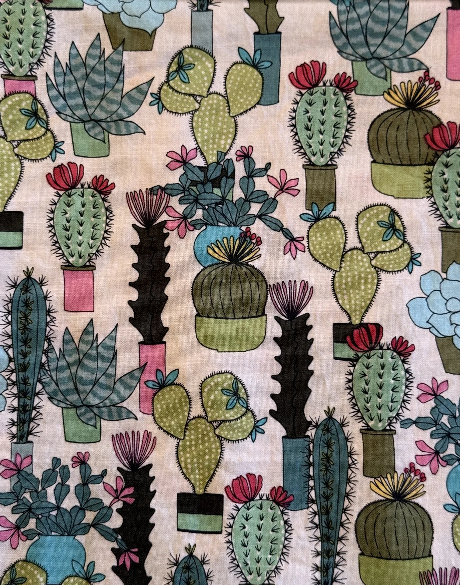 Cactus Party.jpg