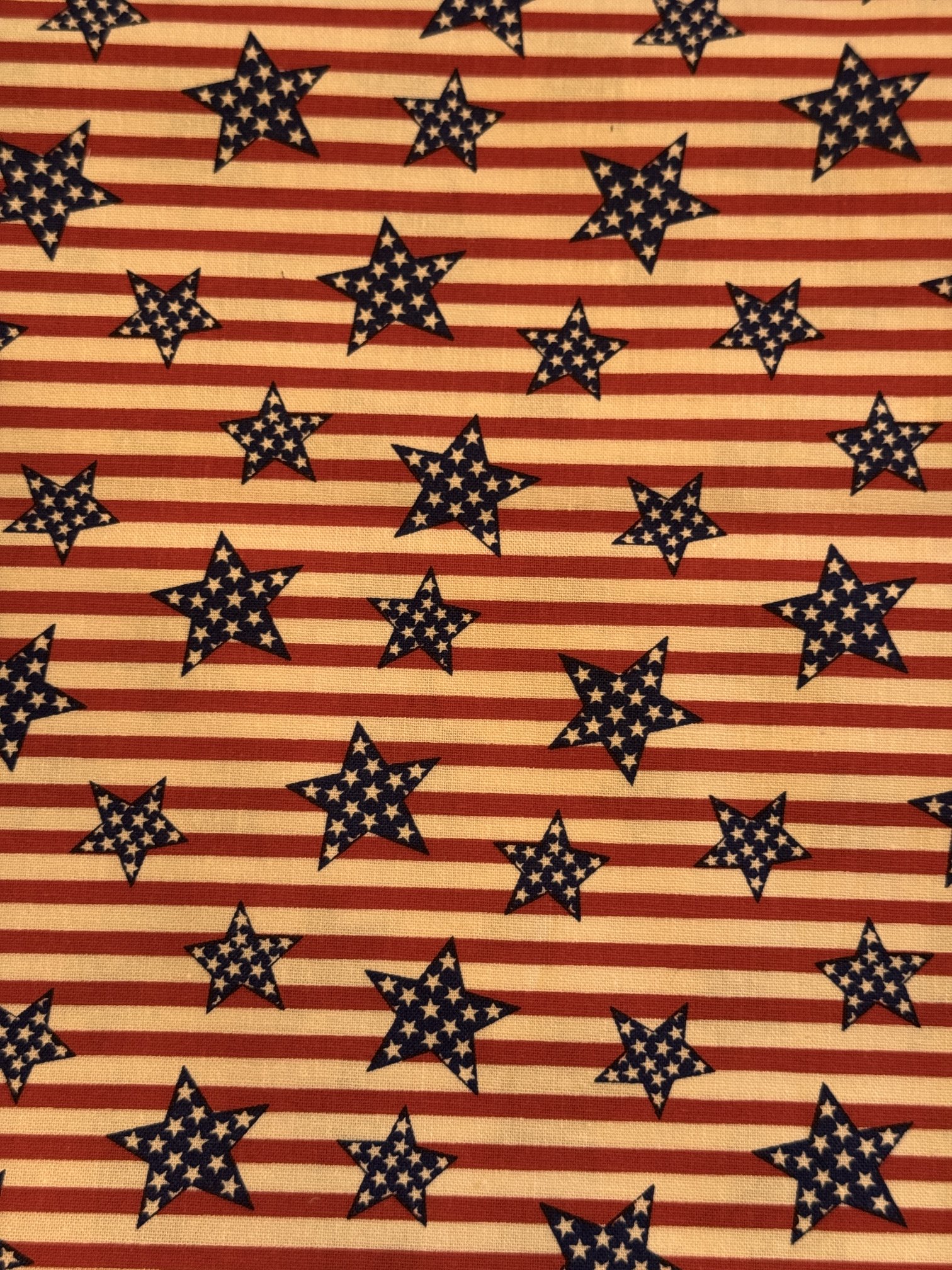 Stars and Stripes.JPG