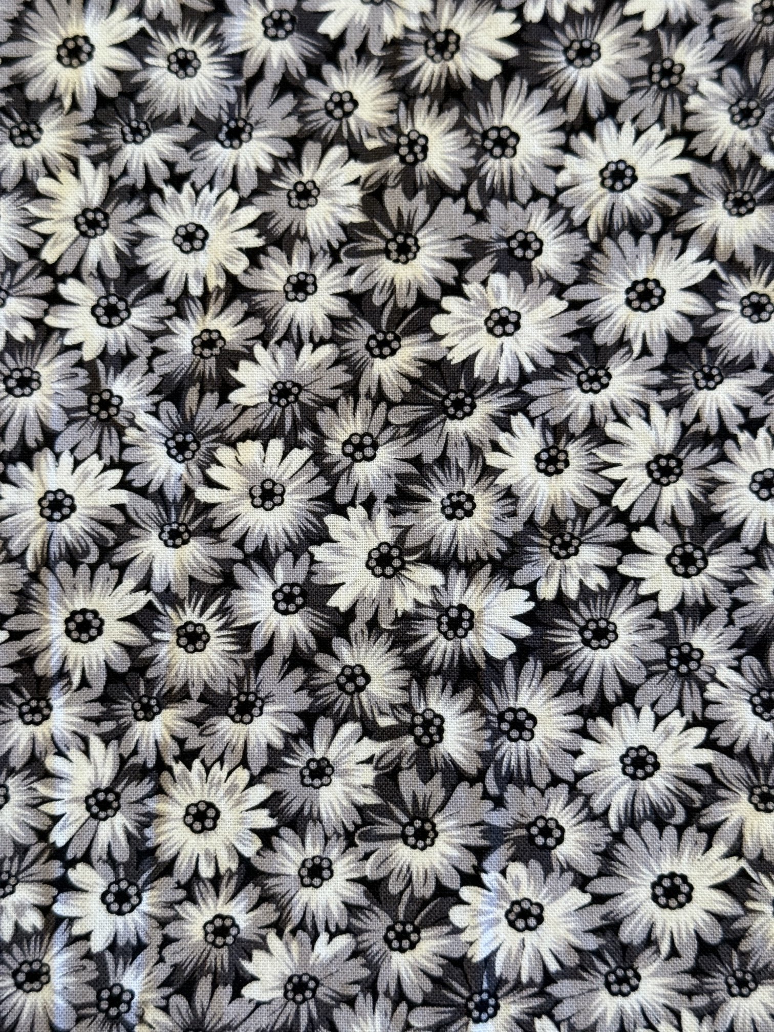 Flower Power 1.JPG