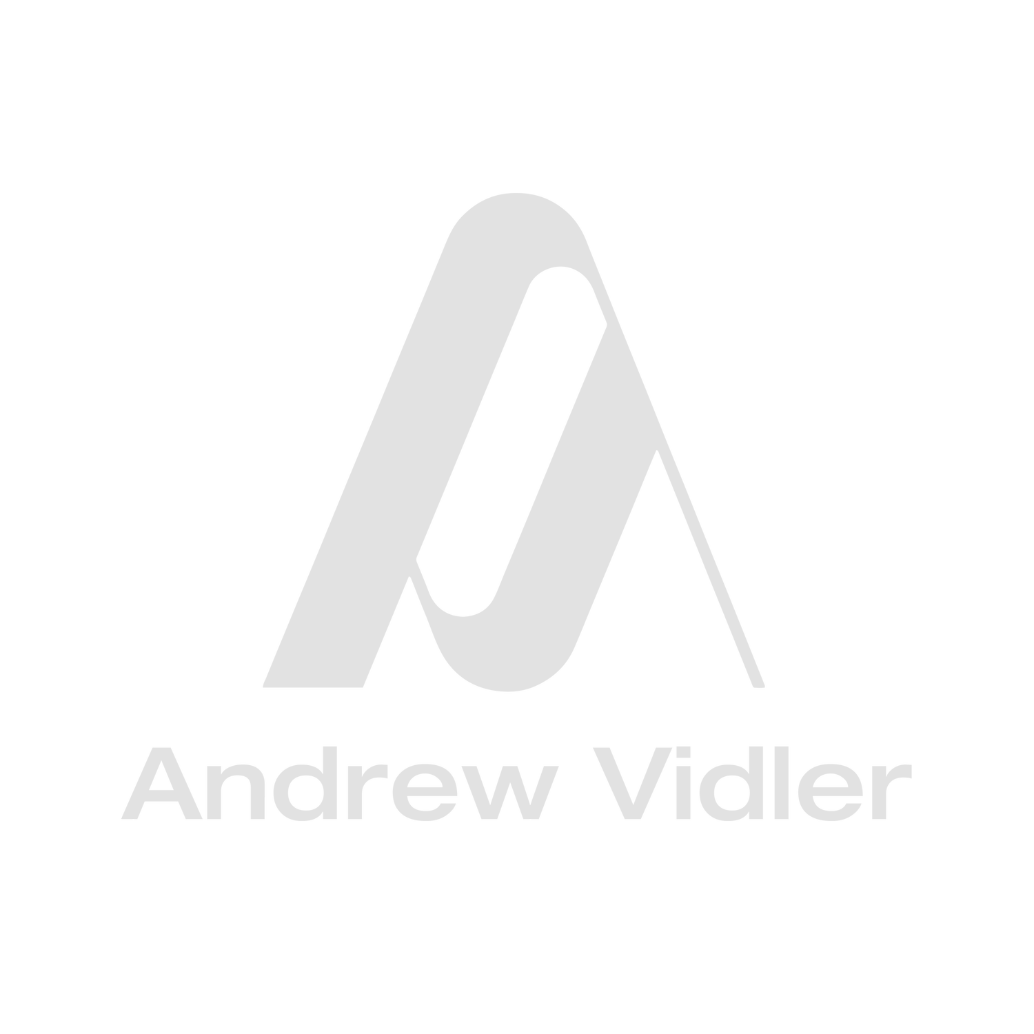 Andrew Vidler