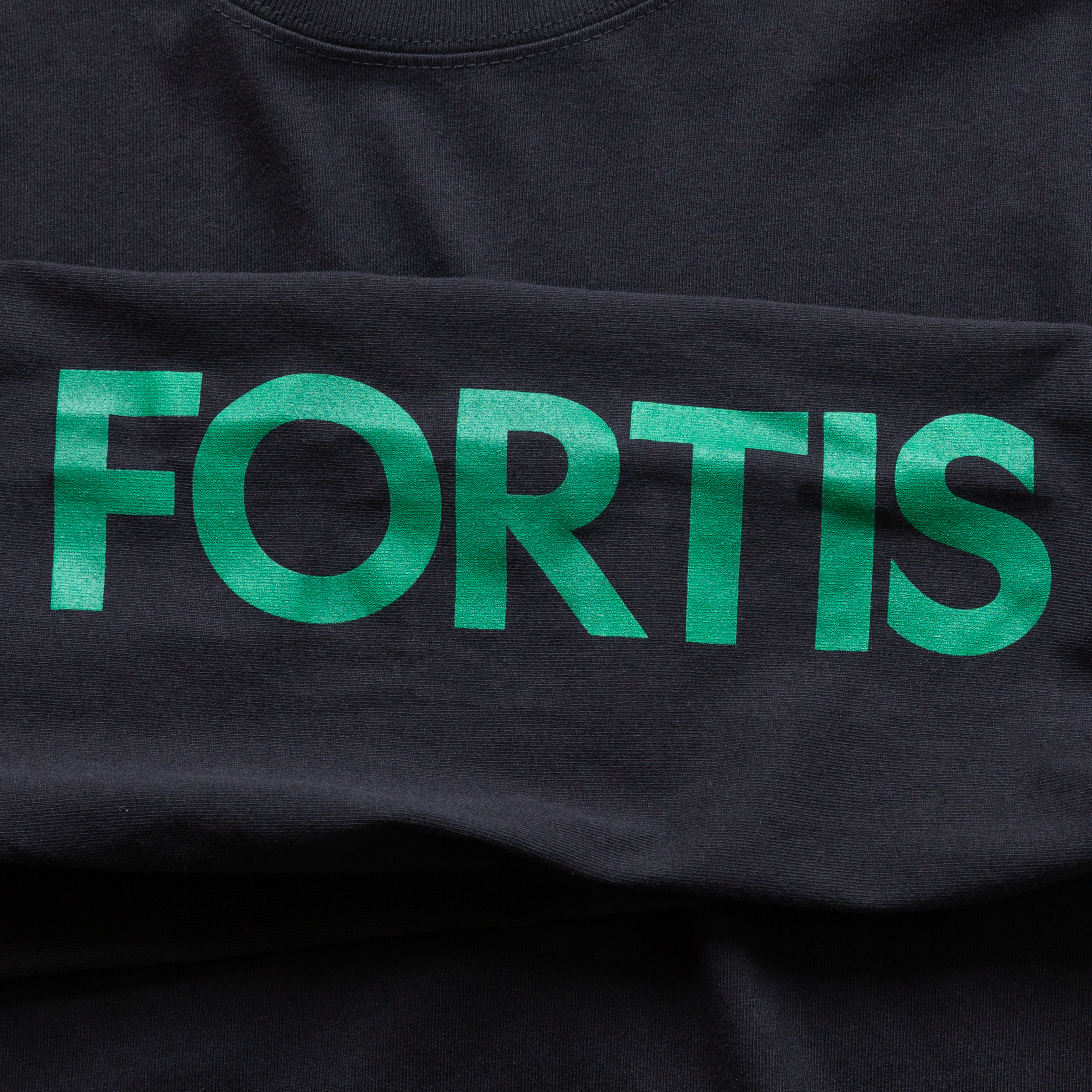 FORTIS-LS-detail_2.png