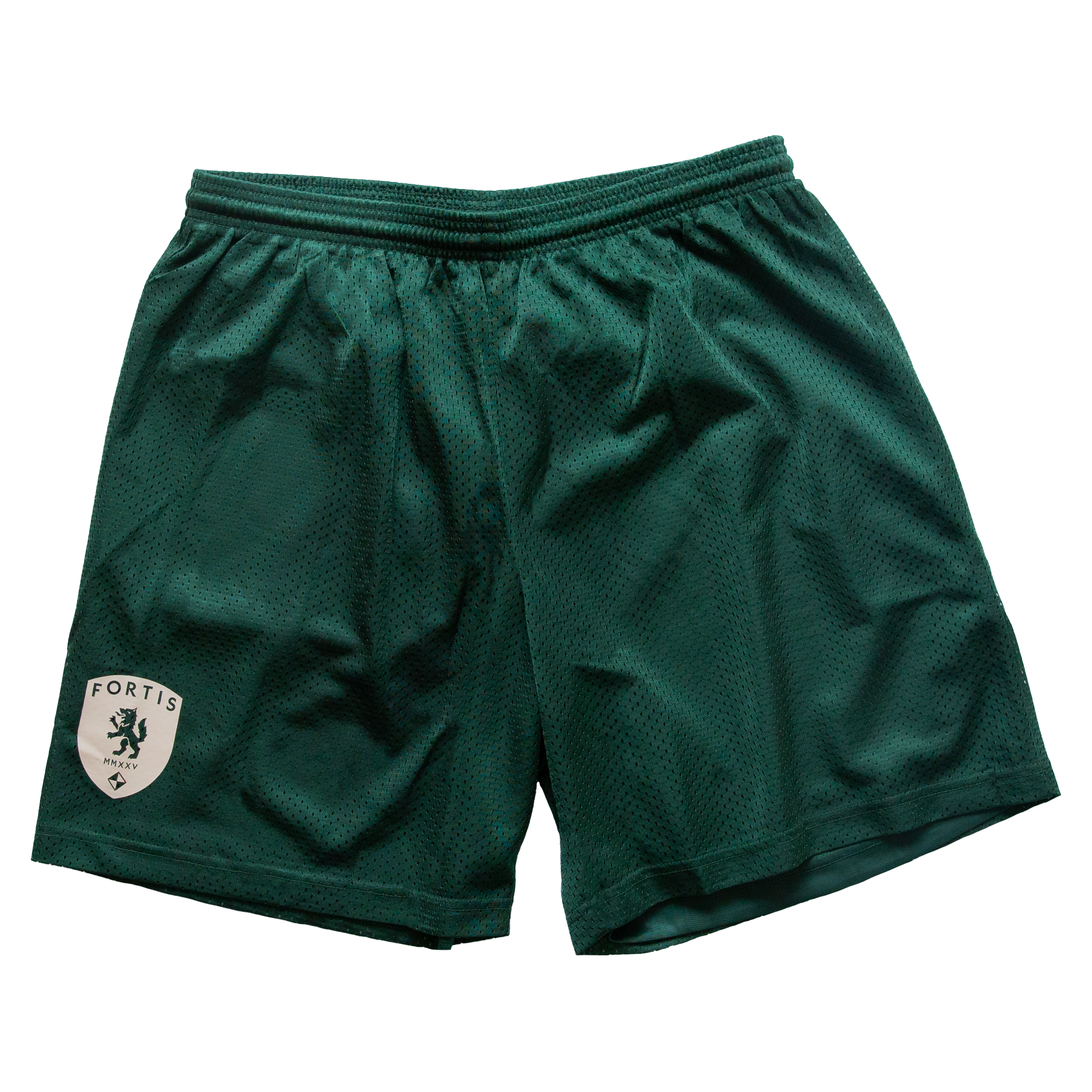 Gym Shorts