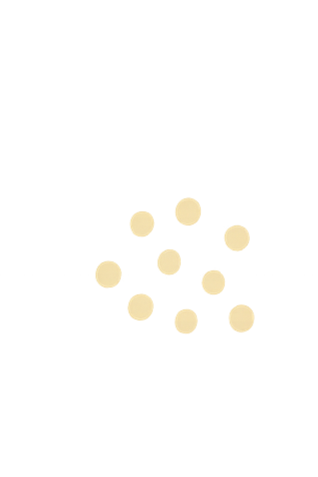 Multiple small, round, beige-colored objects scattered across a black background.
