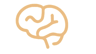 Simple line drawing of a human brain in beige color.