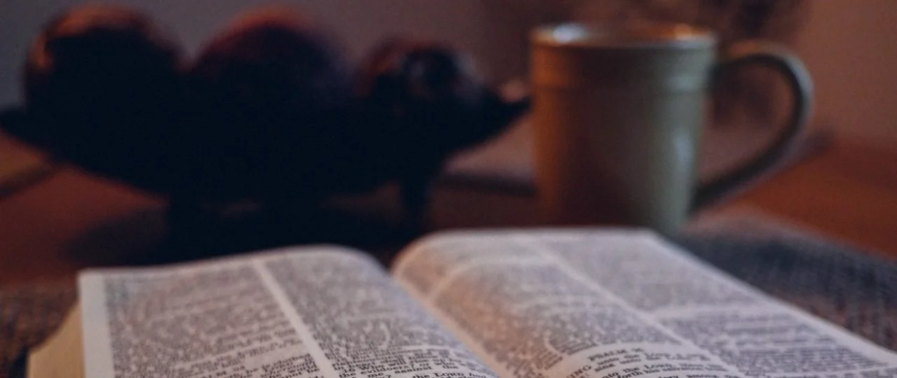 Free Printable Bible Reading Plan