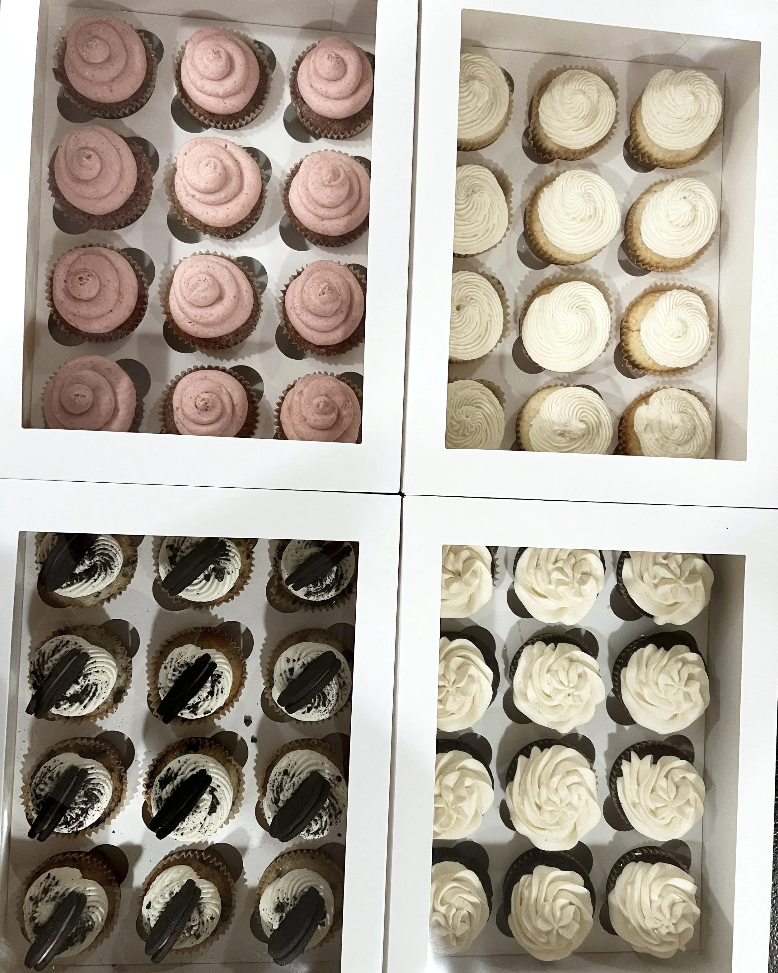 Four boxes of cupcakes with different frosting styles and flavors, arranged in four rows with each box containing nine cupcakes.