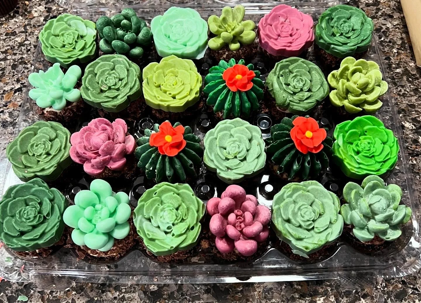 Assorted succulent-shaped cupcakes in various shades of green, pink, and red, arranged on a clear plastic tray on a granite countertop.