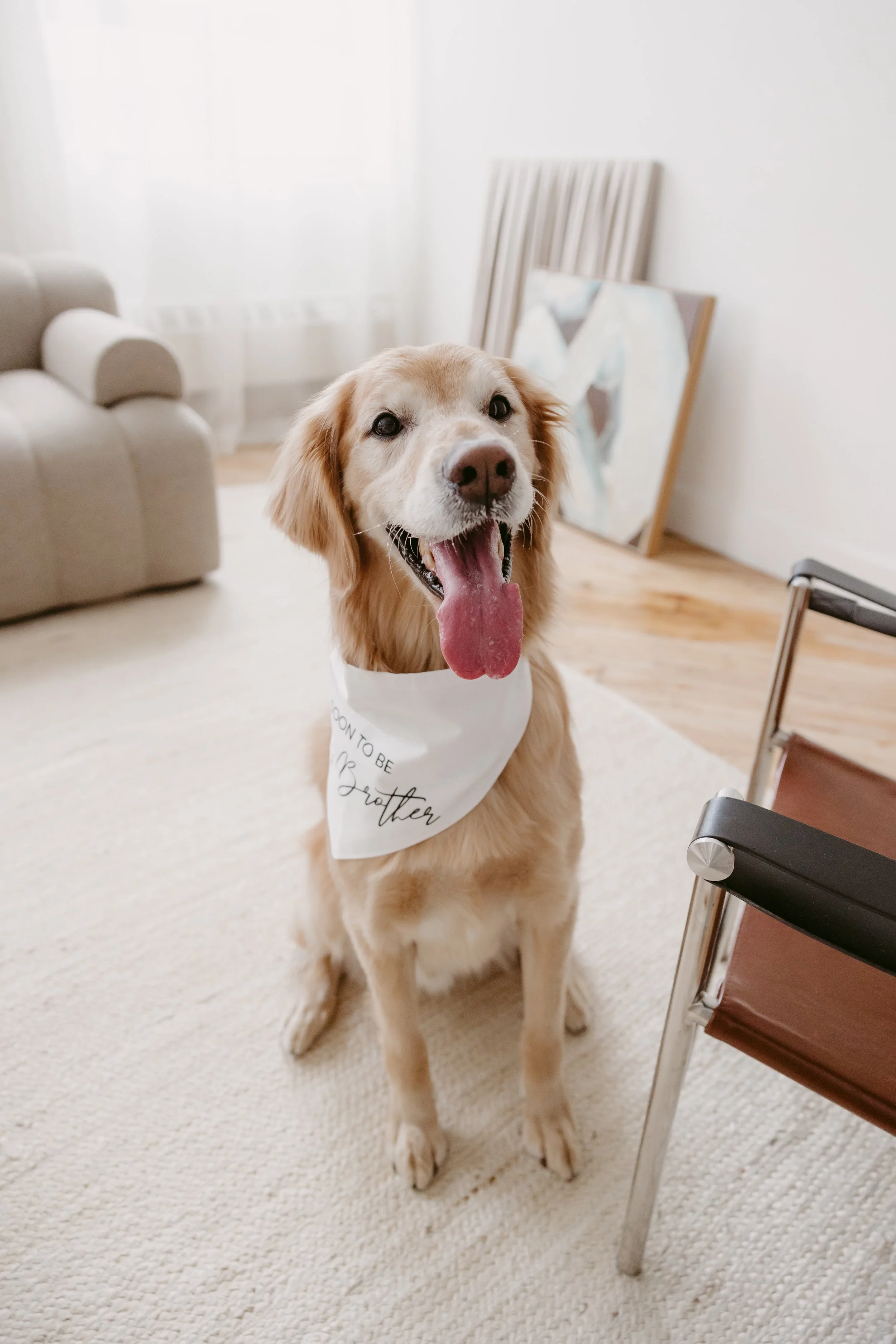 Danica Oliva Photography (3).jpg