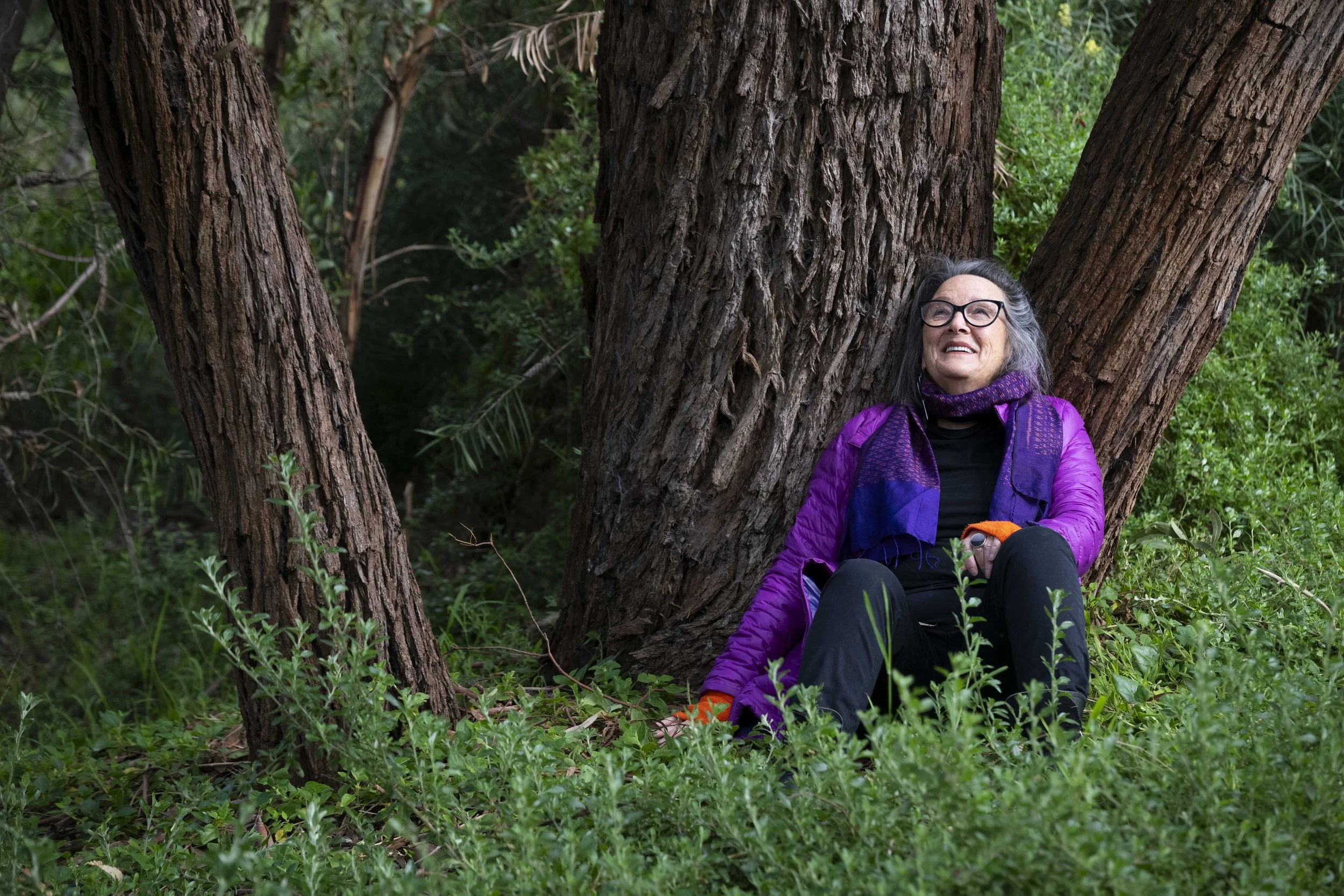 Focusonliving-2026-2-809closeuprhondaundertree.jpg