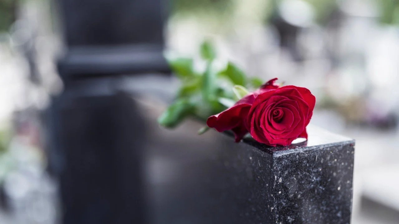 Career Grief & the Art of Reinvention