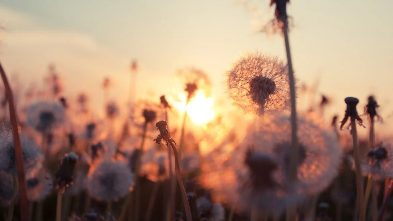 Big Girl Panties Diaries — Entry #79: The Quiet Power of Humility
