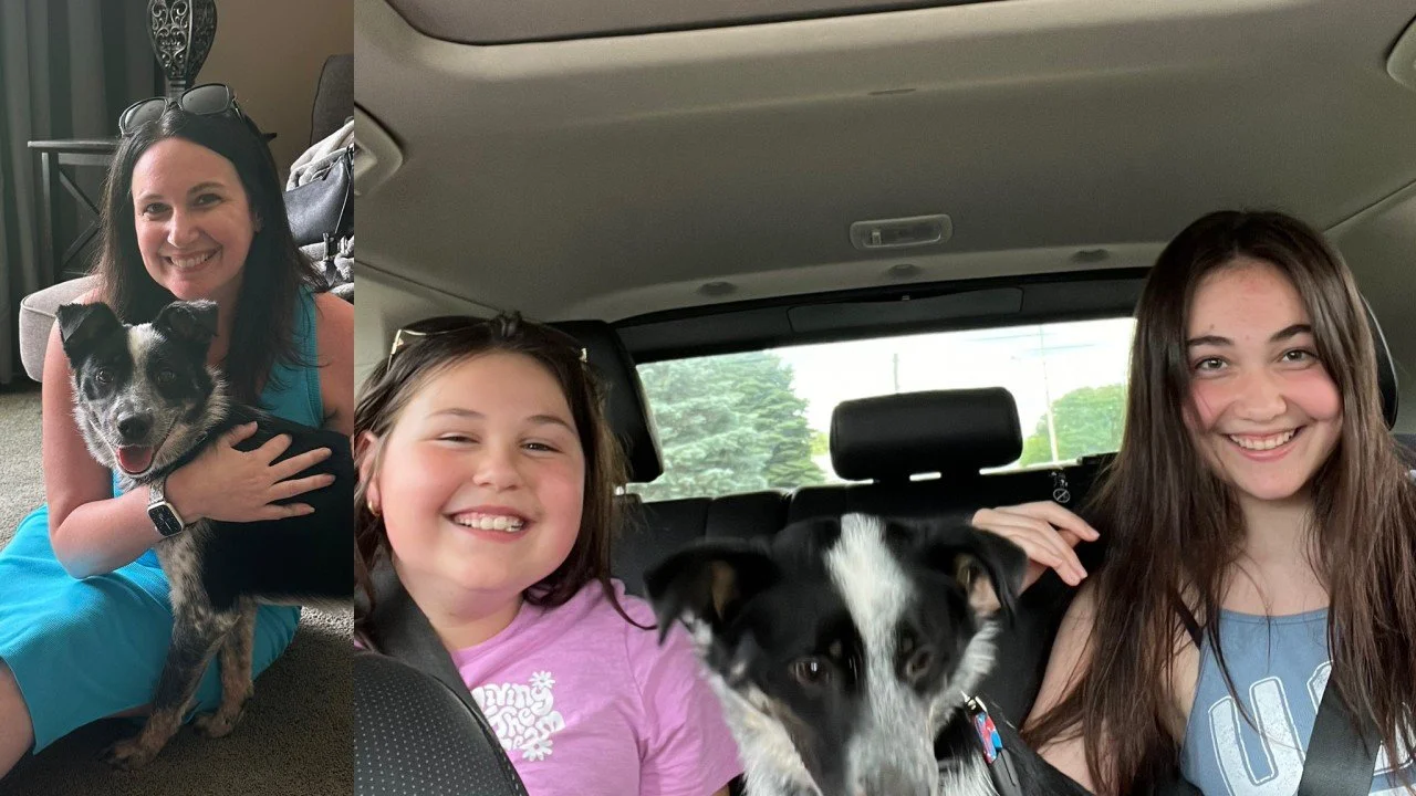 Big Girl Panties Diaries - Entry #4 Sit, Stay, Panic: Leadership Lessons from My Rescue Dog Ash