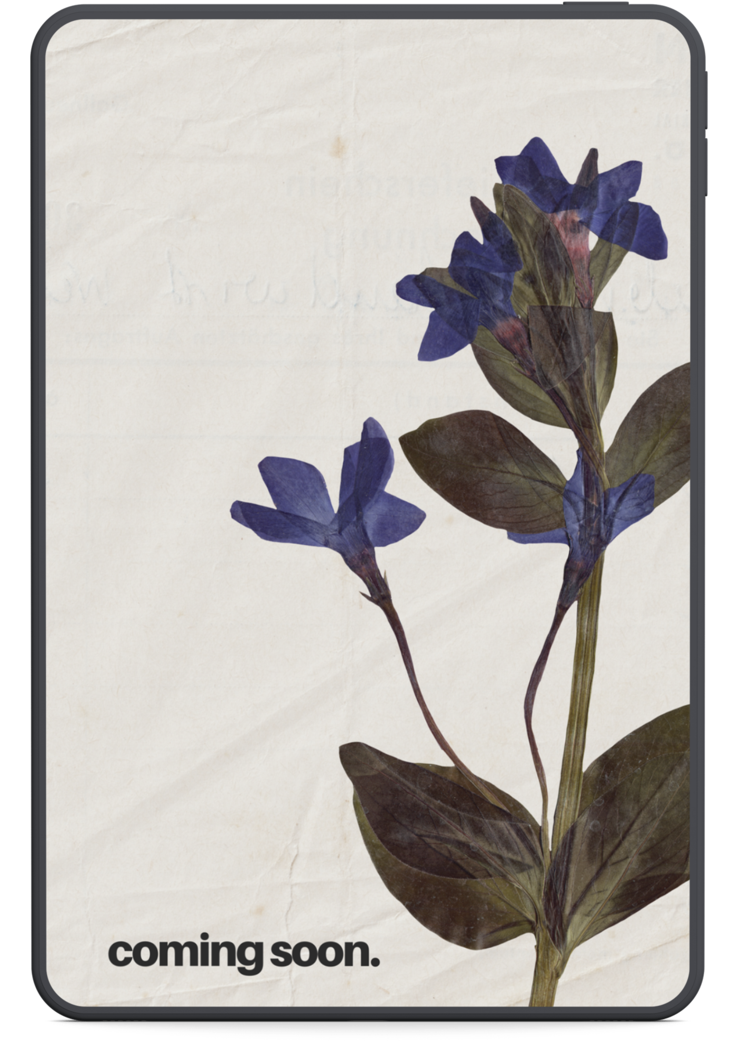 A digital tablet displaying a poster with pressed purple flowers and green leaves on a textured off-white background. The text "coming soon." is in bold black font at the bottom.