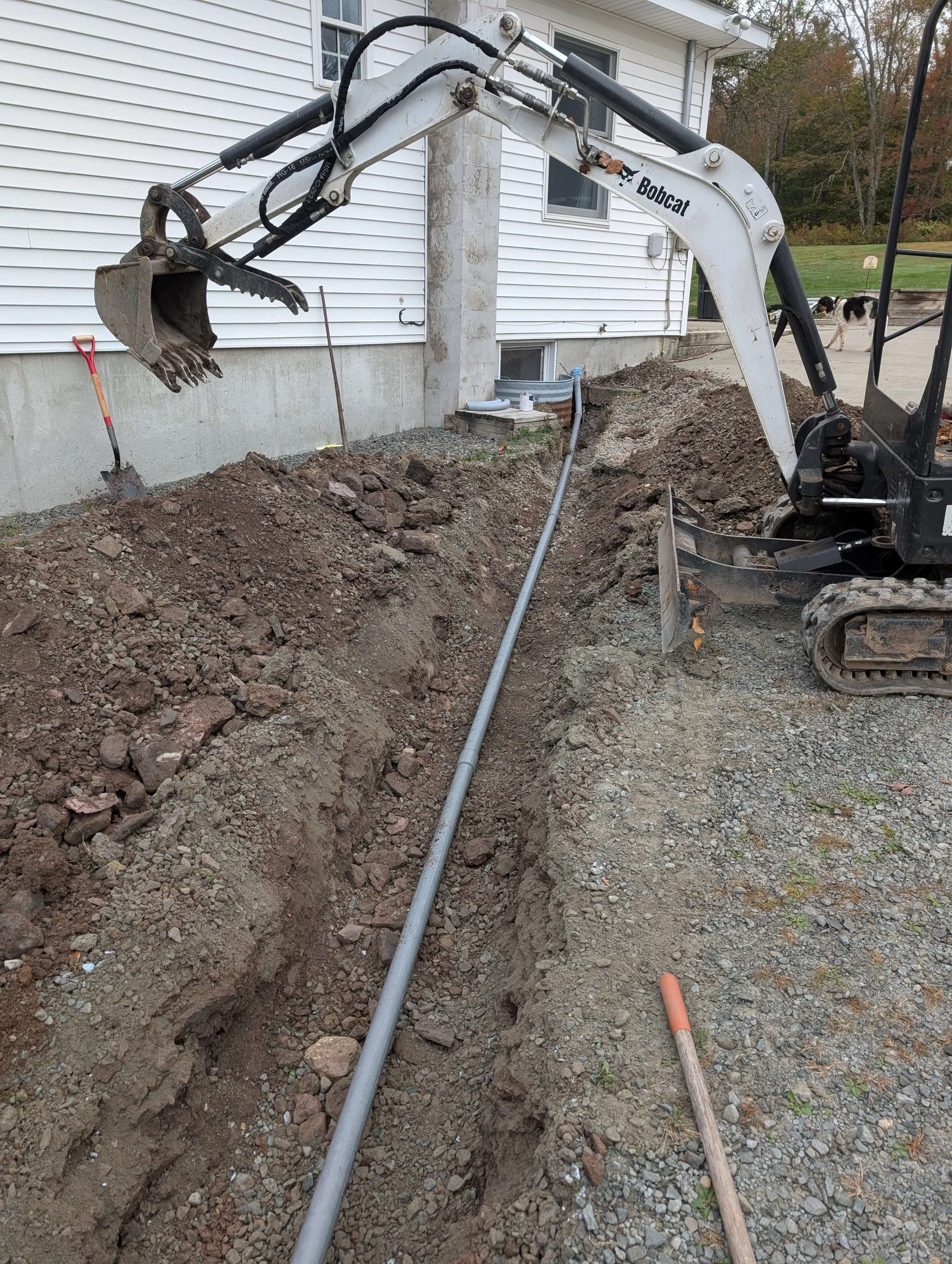 Excavation site with a small Bobcat excavator digging a trench alongside a house with white siding. Piles of dirt and rocks are around the trench, and sewer pipes are visible. A shovel and a rake are stuck in the dirt. In the background, there is a dog and a yard with trees.