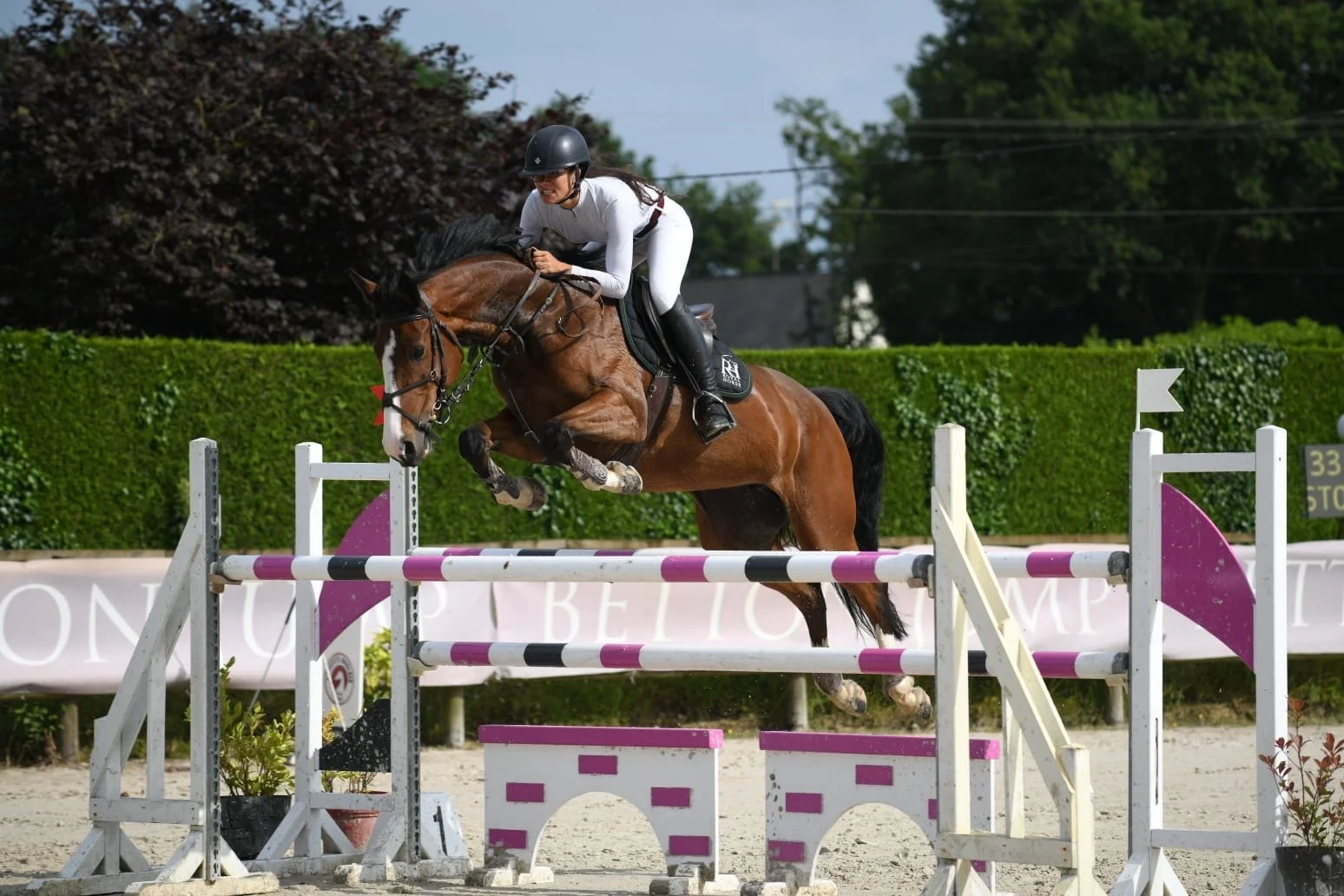 22c0f8a4-bc6a-41b9-9be5-6ee0a078e0fe 2.JPG