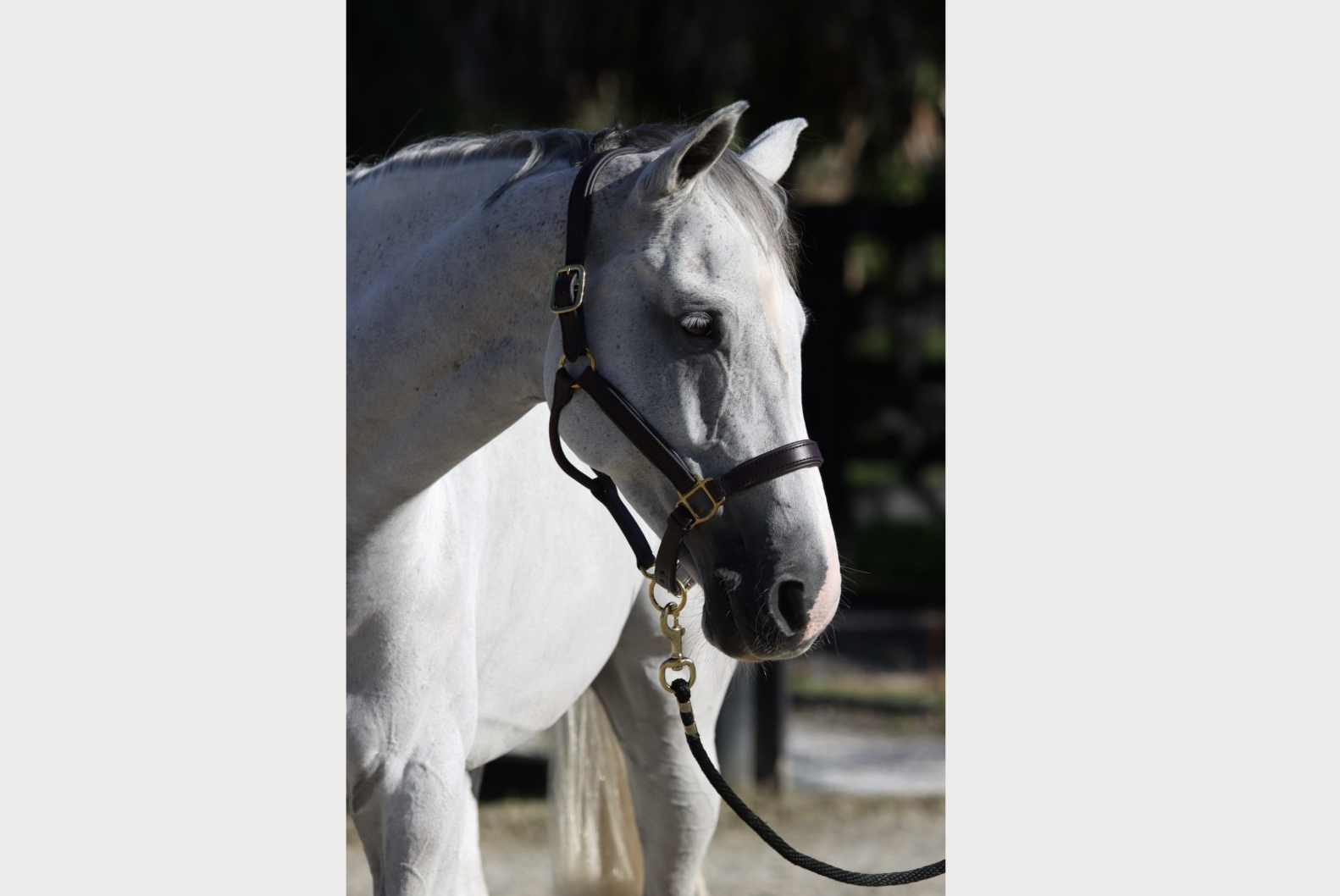 Screenshot 2025-10-10 at 4.34.33 PM.png