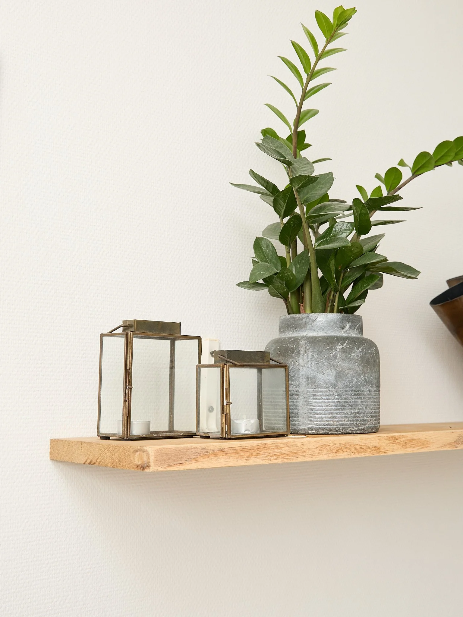 A wooden shelf holding a large potted plant, two candles in glass lanterns, and a decorative item against a white wall.