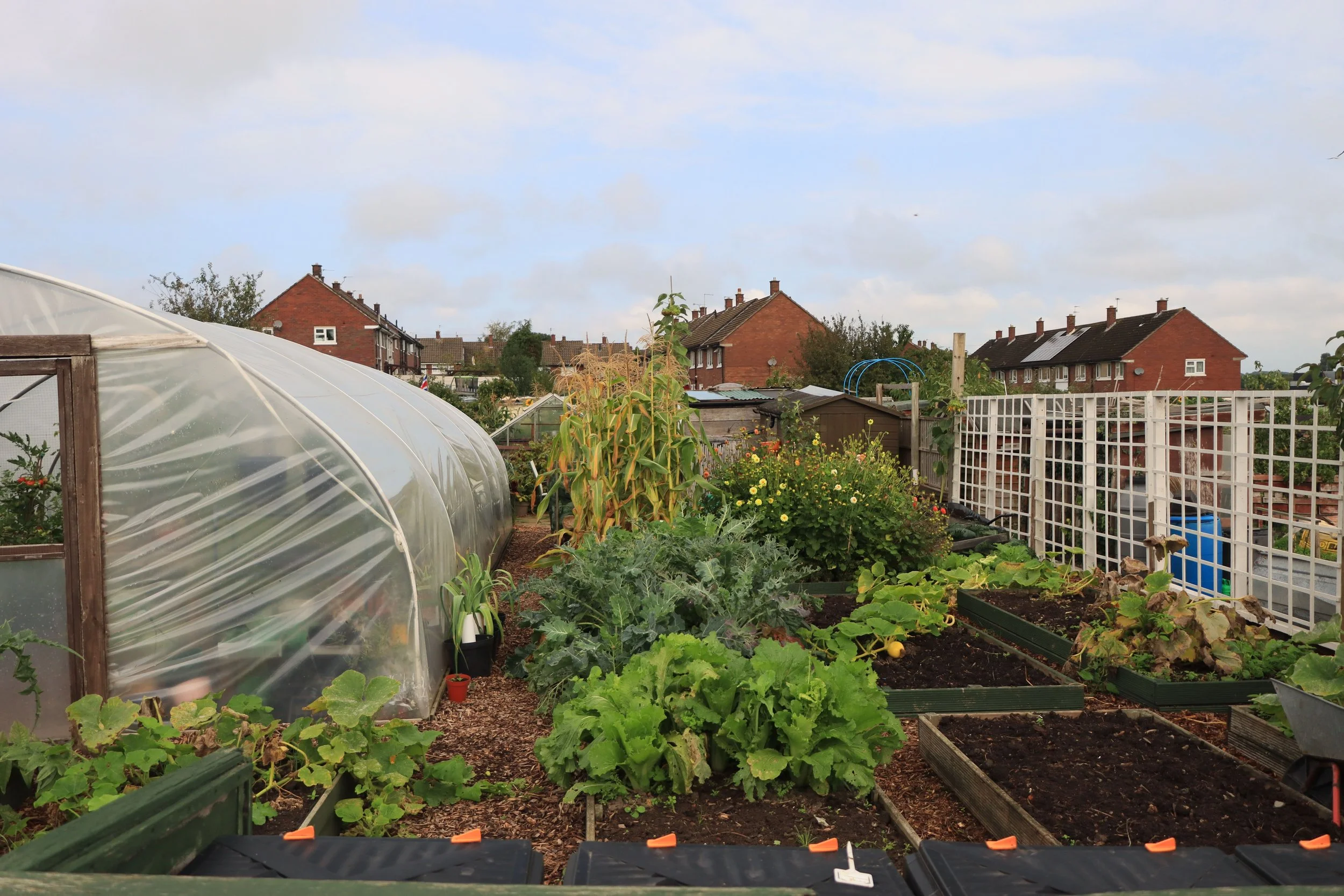 Community garden with raised vegetable beds and a greenhouse, representing White Oak Strong's Green Roots program vision
