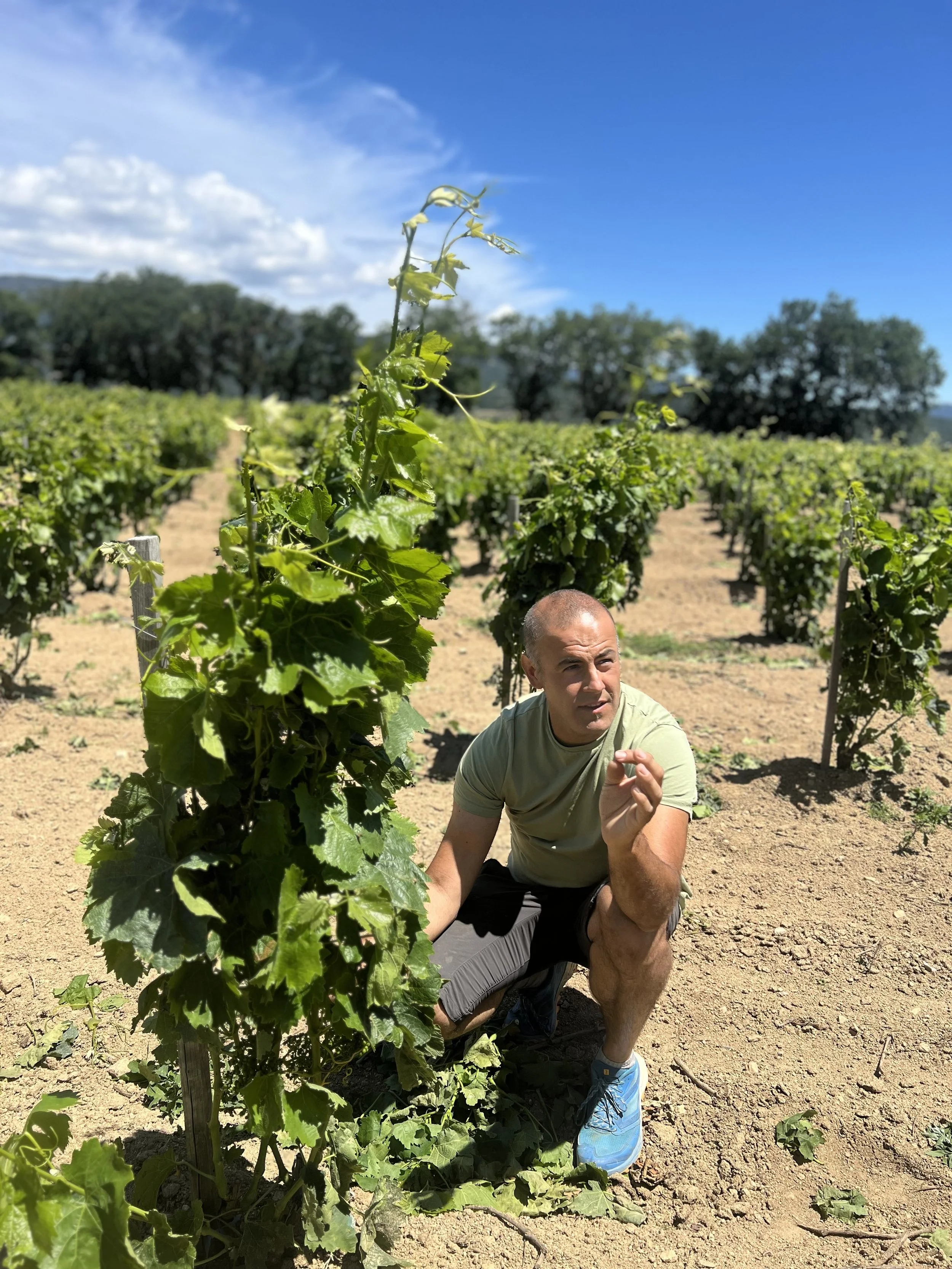 Salva Batlle Winemaker