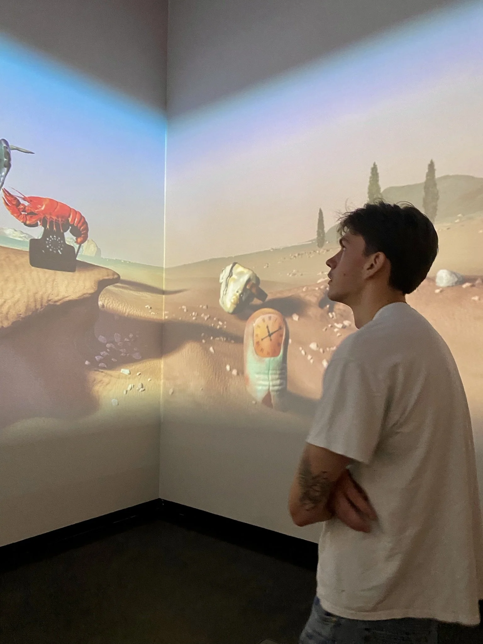 A man stands with arms crossed, looking at a digital art installation of a surreal desert scene projected onto two walls.