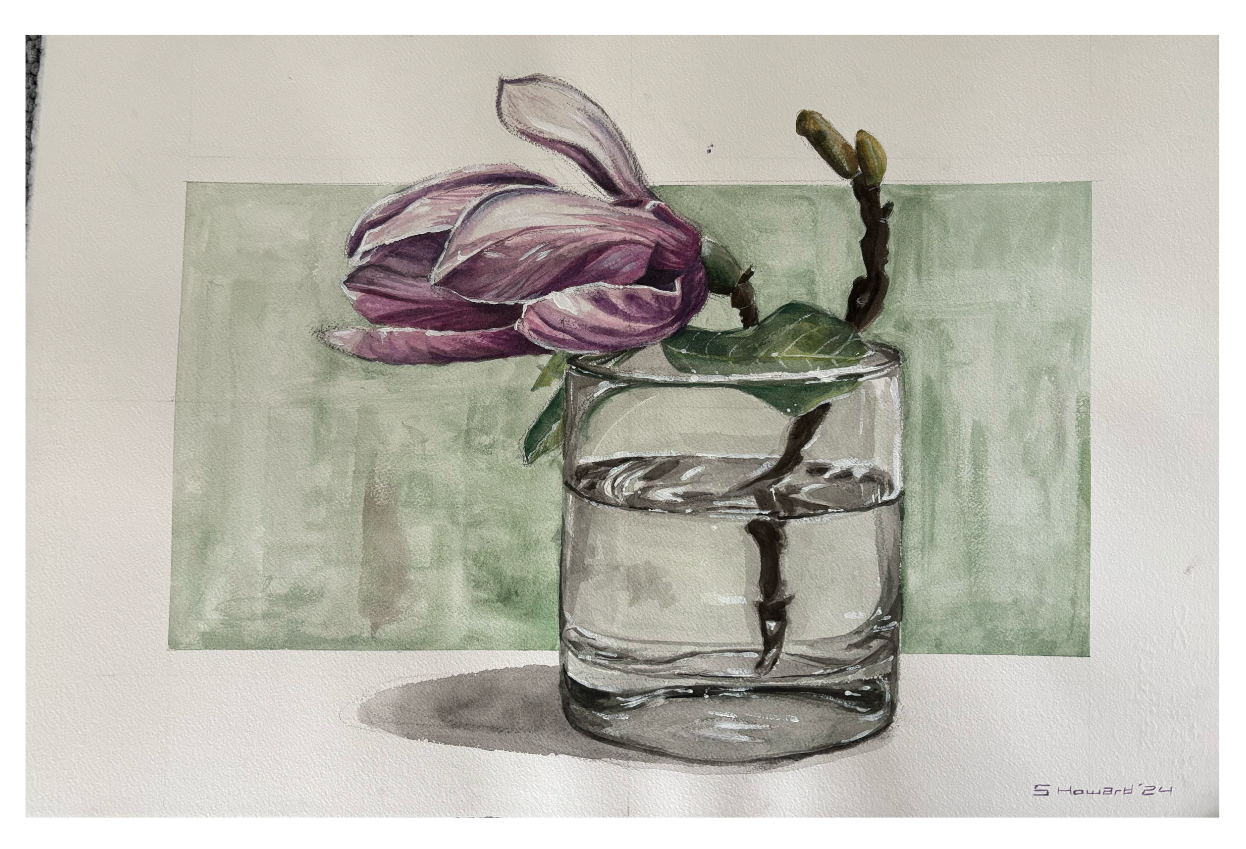 A watercolor painting of a pinkish-purple magnolia flower in a clear glass of water with a green background.