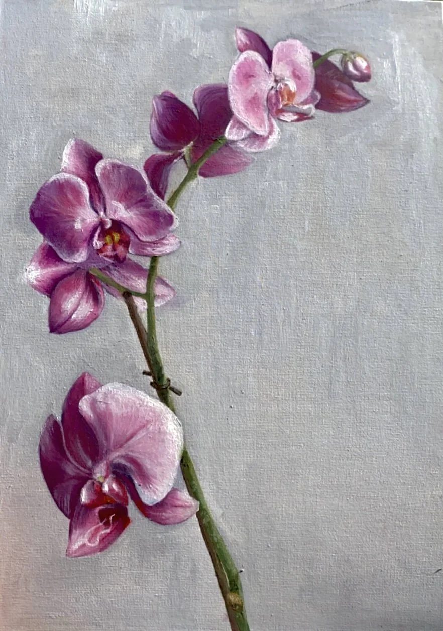 Painting of a pink orchid orchid flower with multiple blossoms along a green stem on a light background.