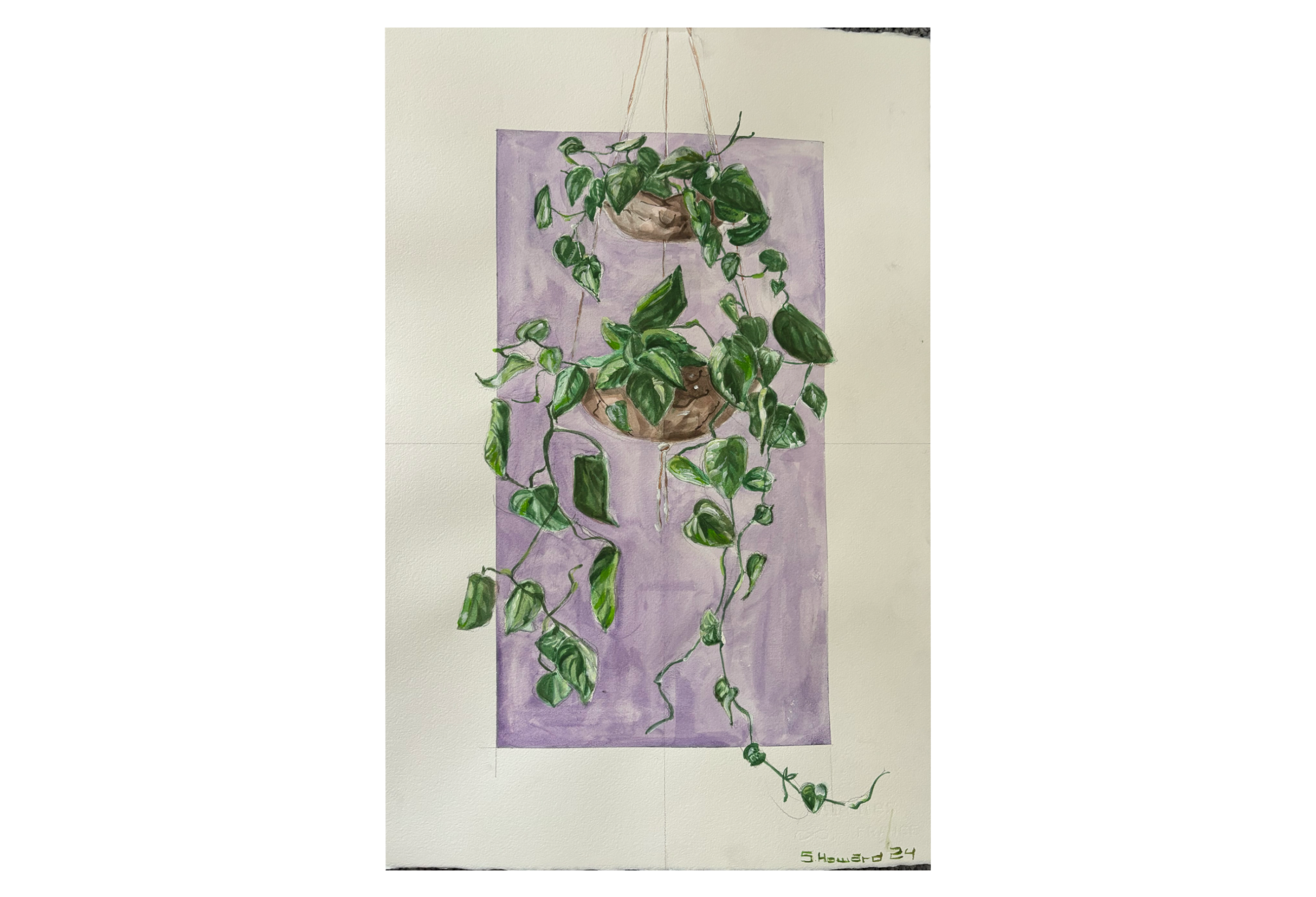 Painting of two hanging potted plants with green, leafy vines against a lavender background.