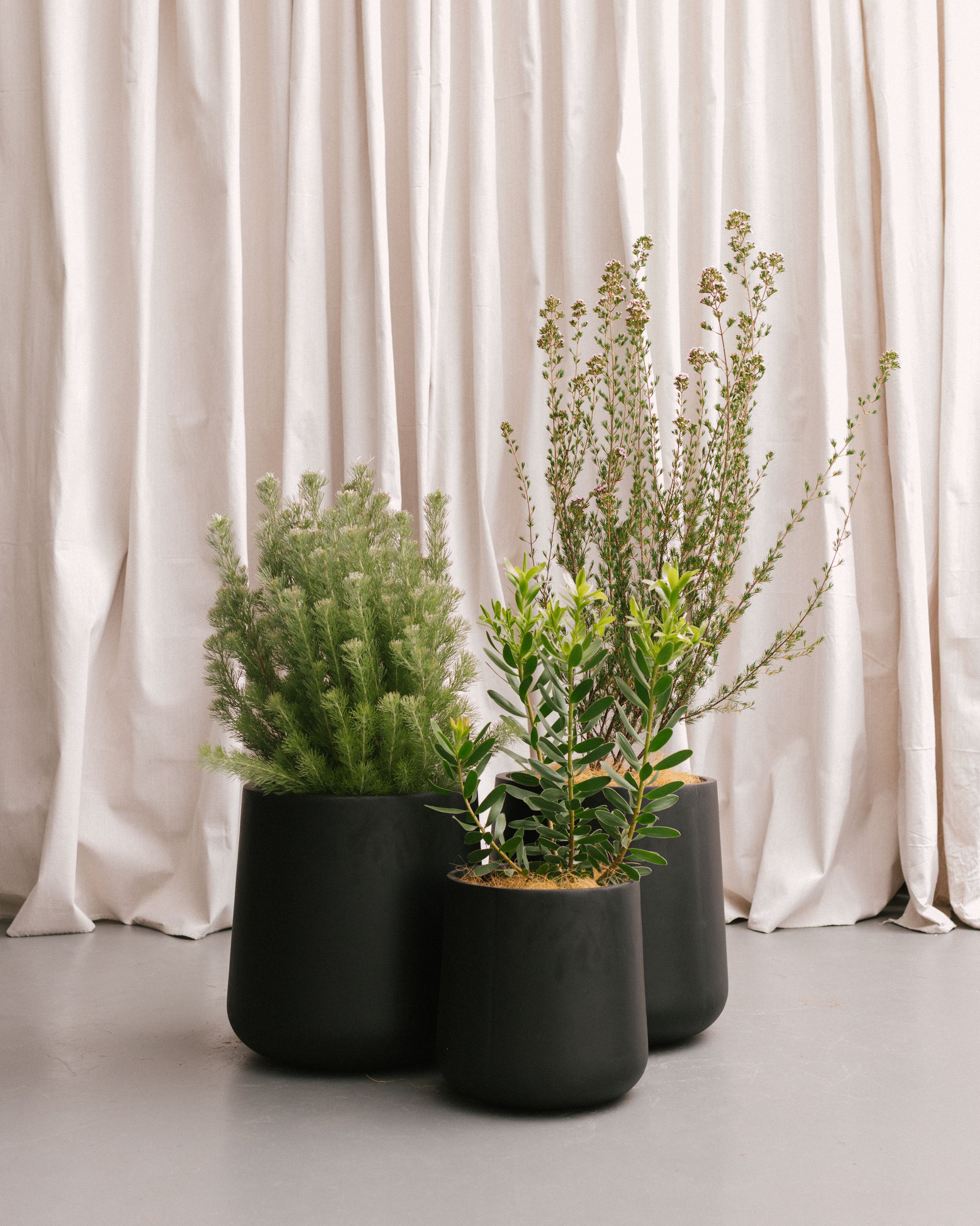 native planter cluster - indoor plant hire - plant styling melbourne