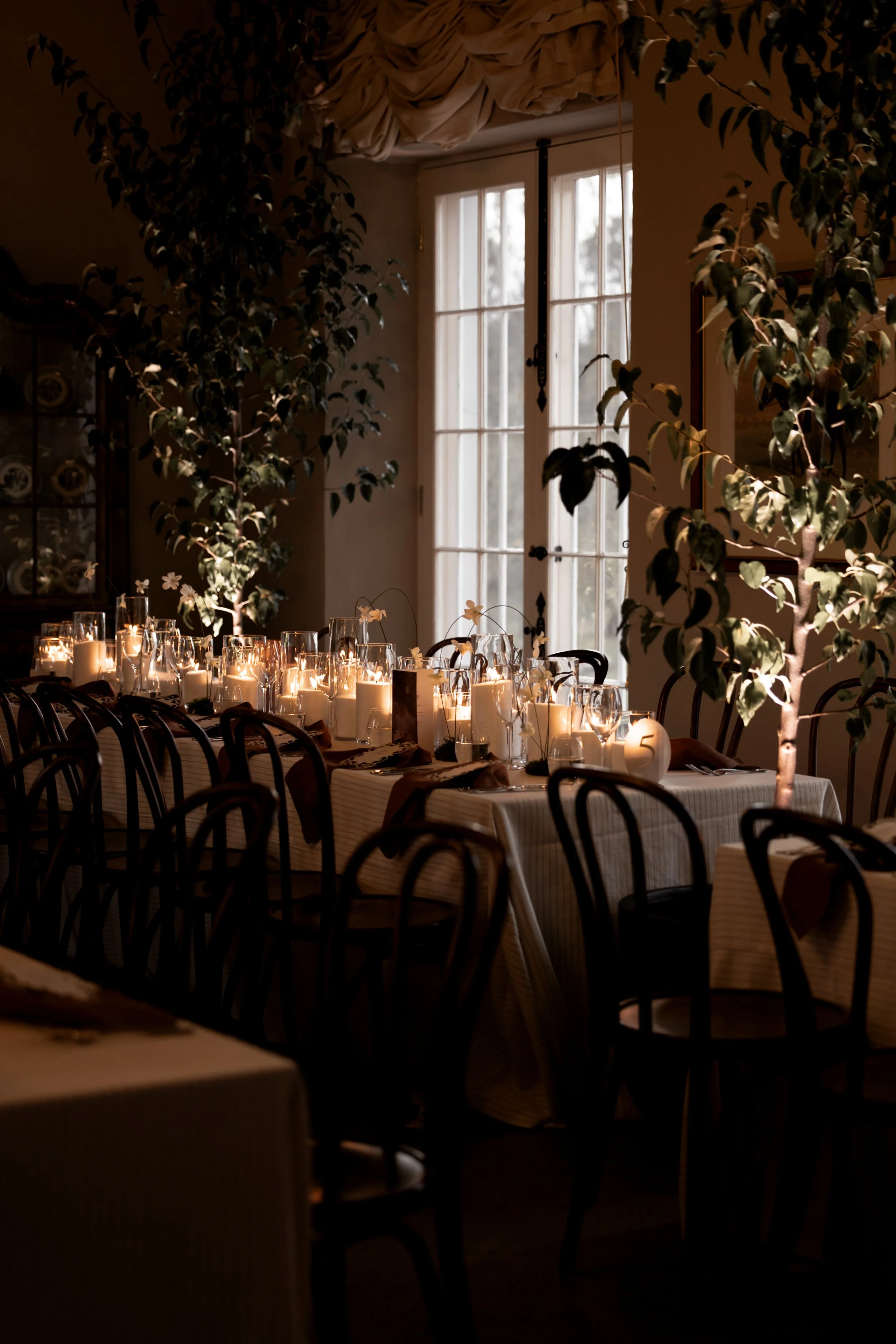 Trees for wedding - Melbourne wedding plants