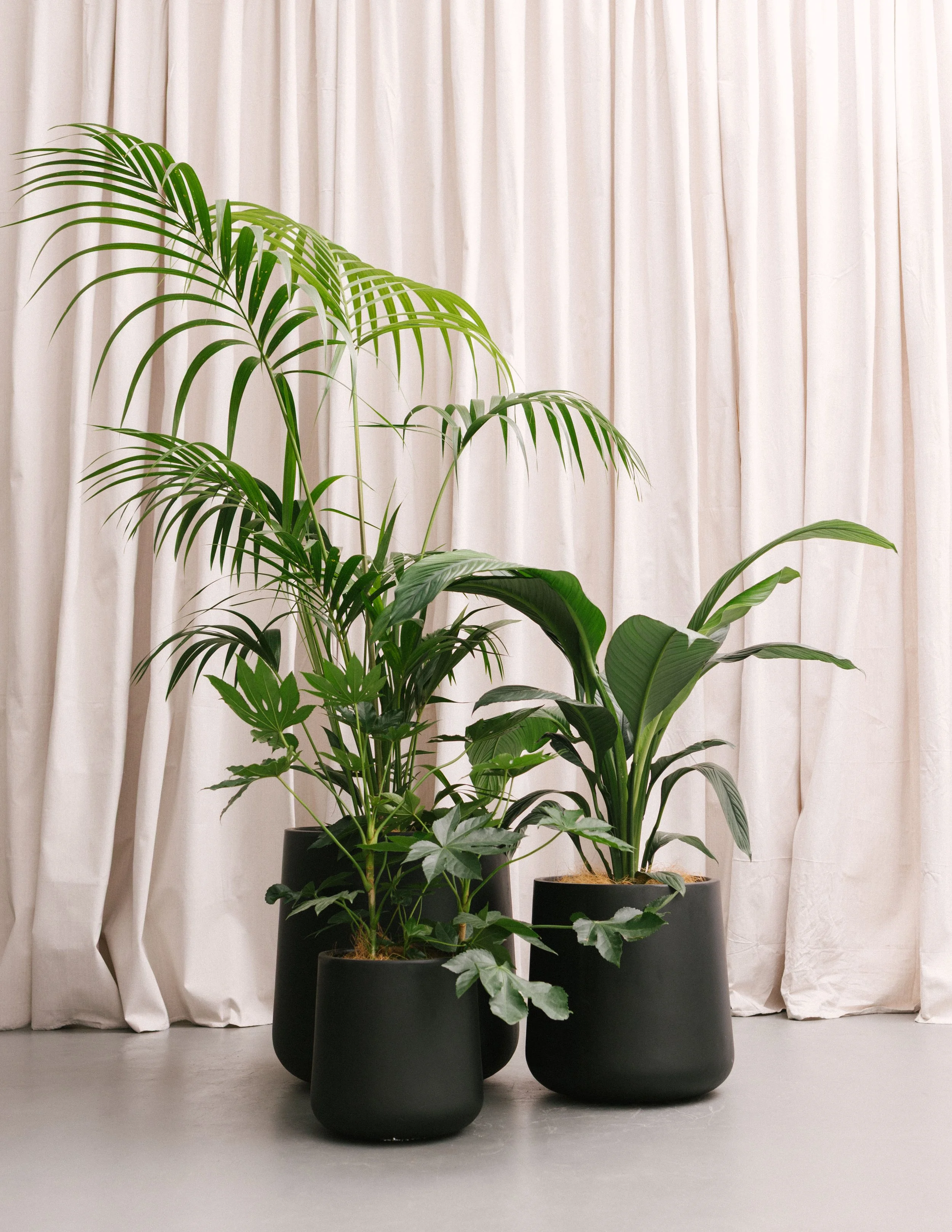 Greenery Cluster, Plant Styling Melbourne