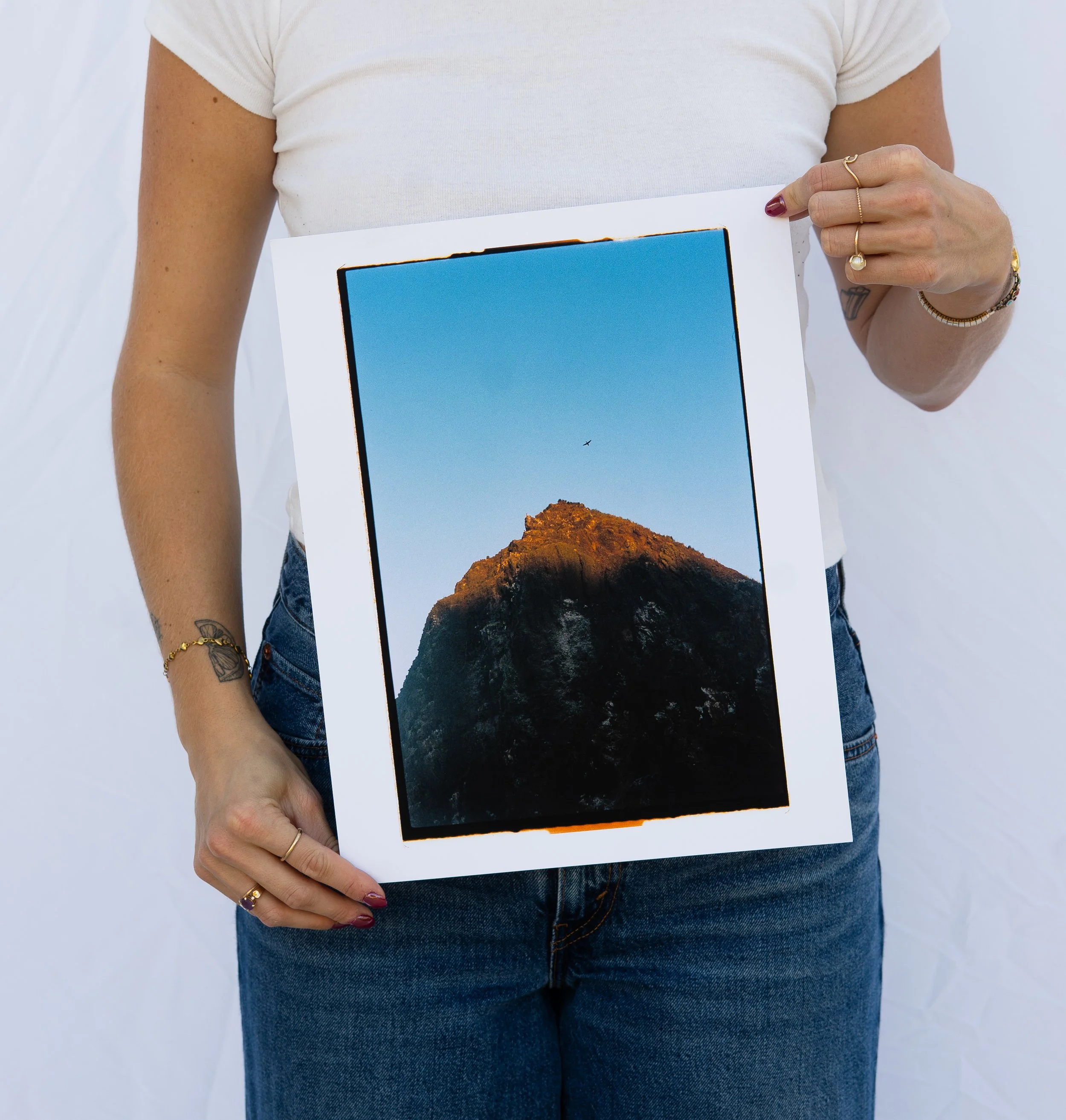 Black Oyster Catcher Flying Over Haystack Rock — Brookie Jenn Film Prints