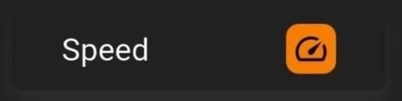 Digital button displaying the word 'Speed'.